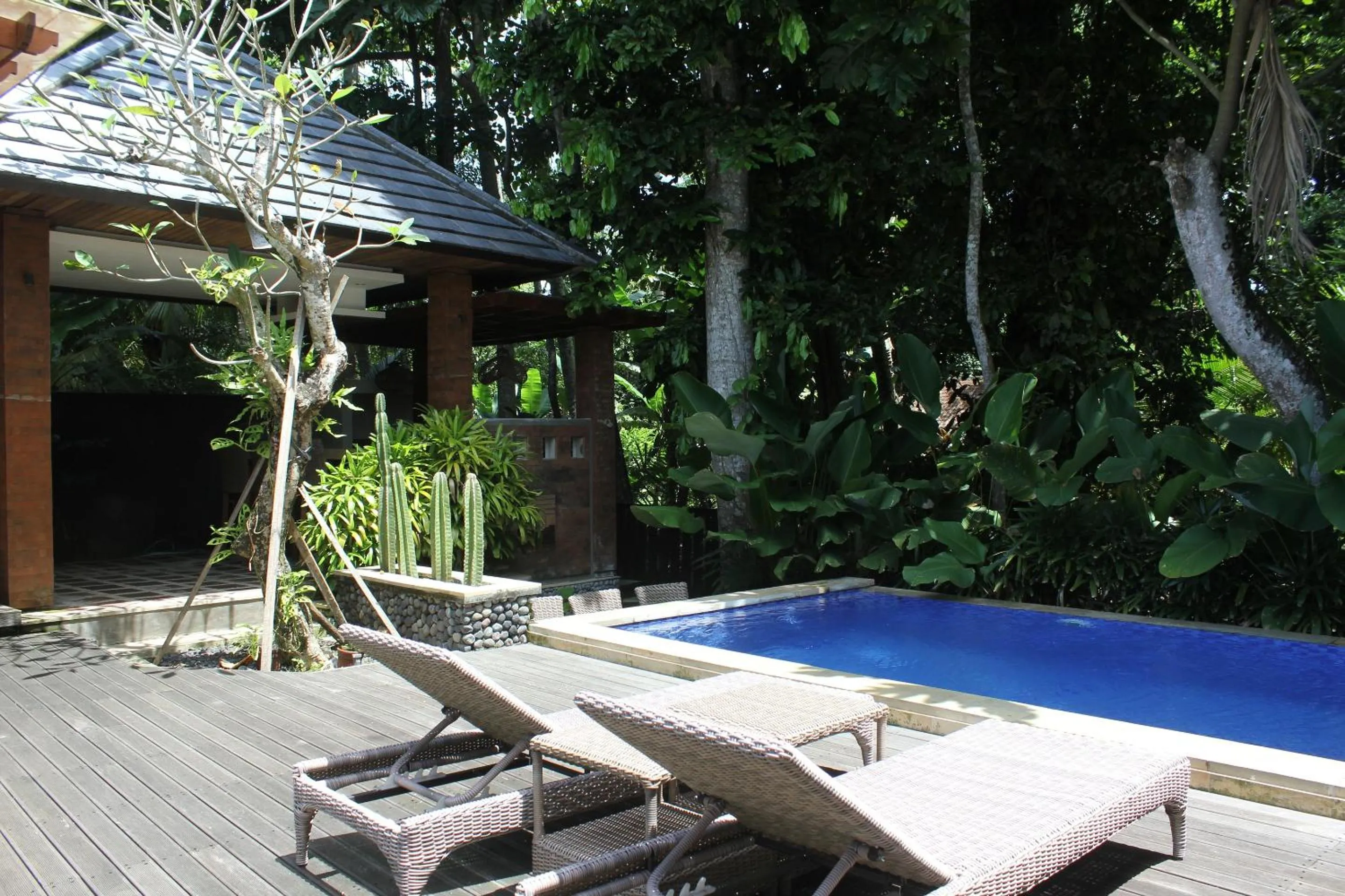 Swimming pool in Belvilla Dhyana Kutir Seseh Beach