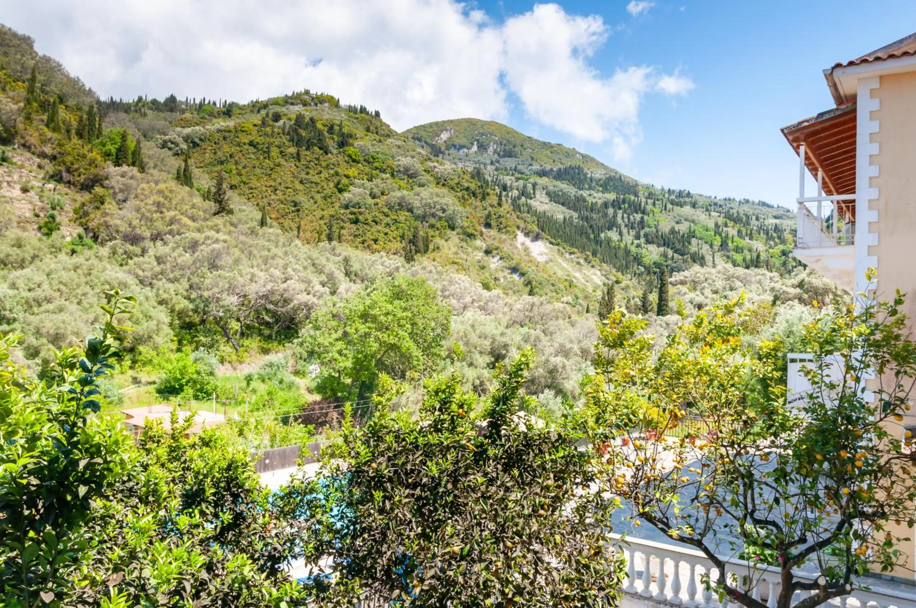 Garden in Apart Hotel Blumarin