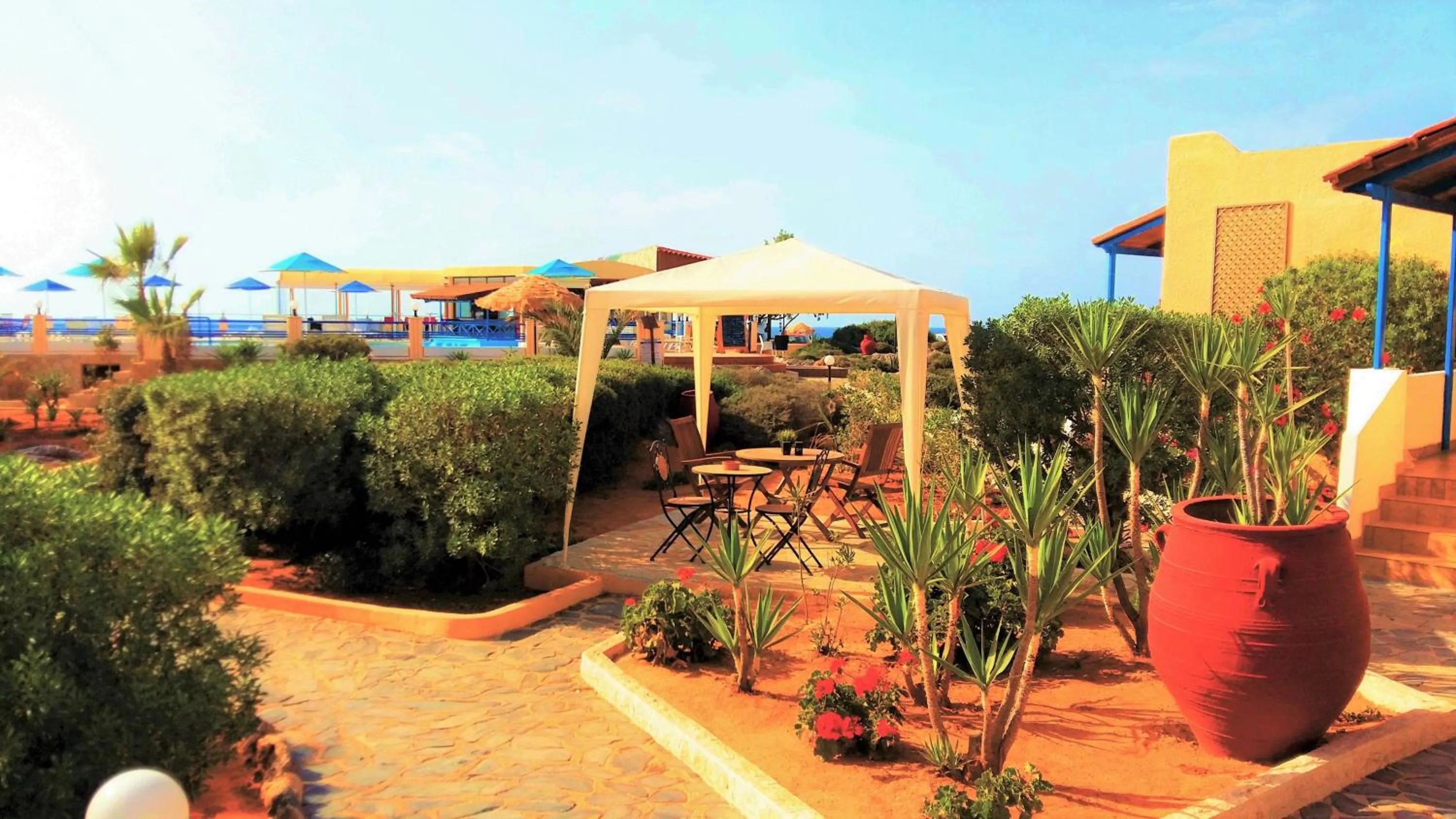 Area and facilities in Zorbas Beach Village Hotel