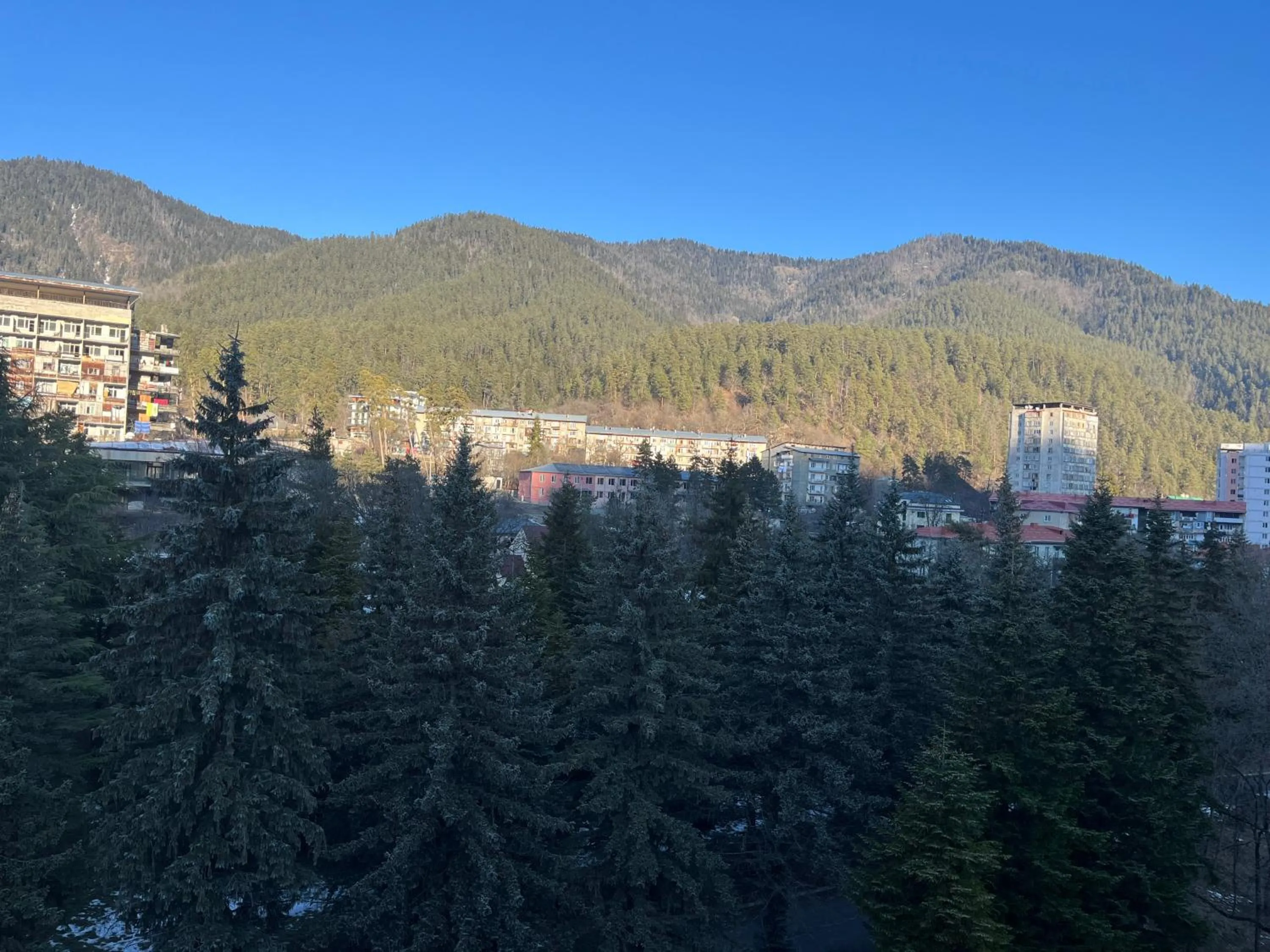 View (from property/room) in Borjomi Likani Health & Spa Centre