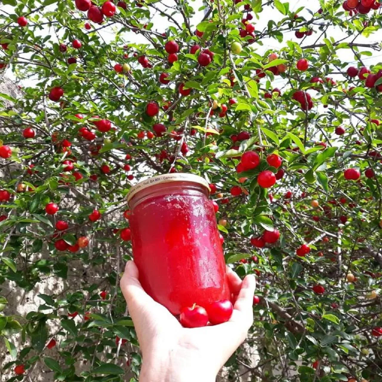 Pousada Brisa Del Mar