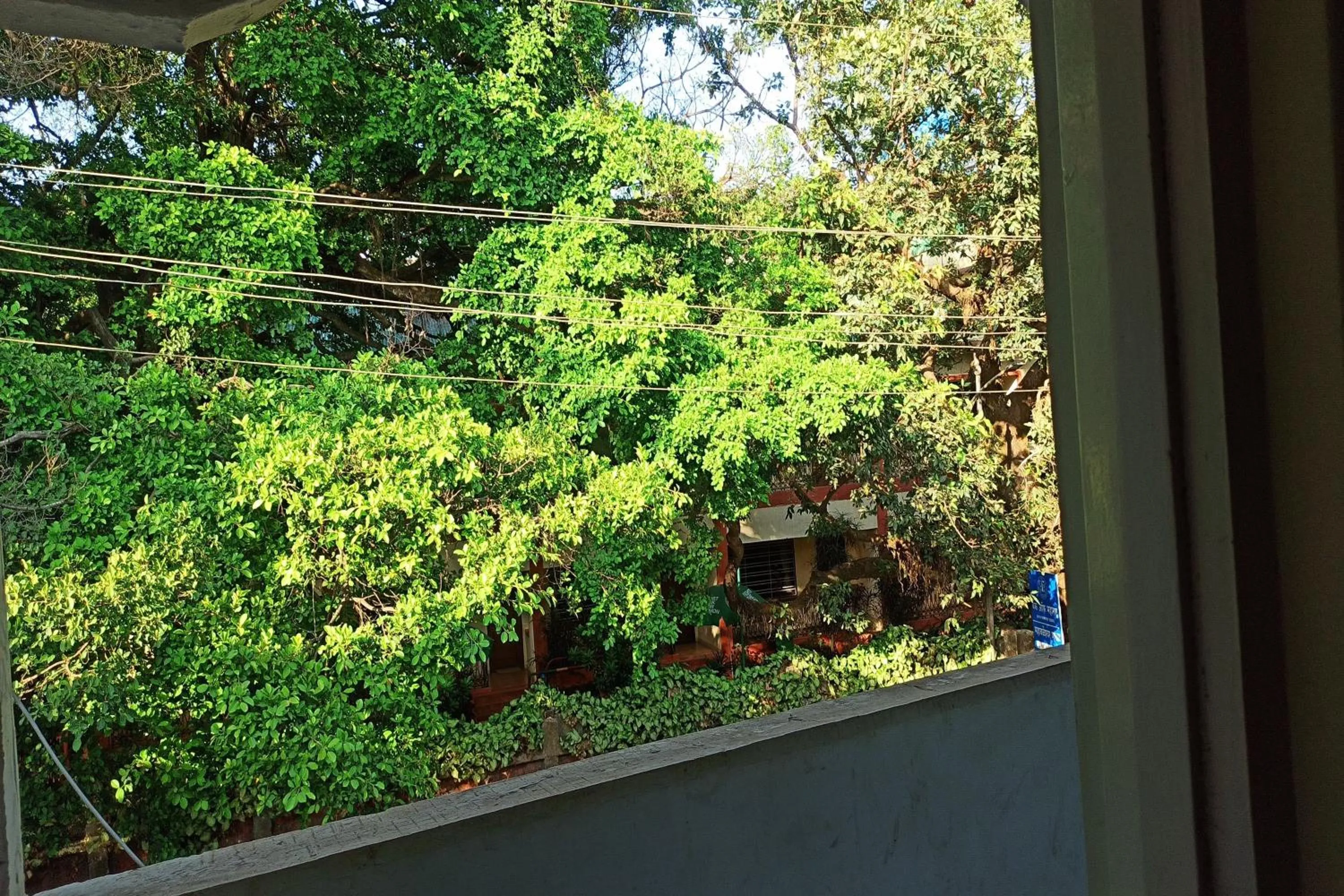 View (from property/room) in Hotel Blue Heaven