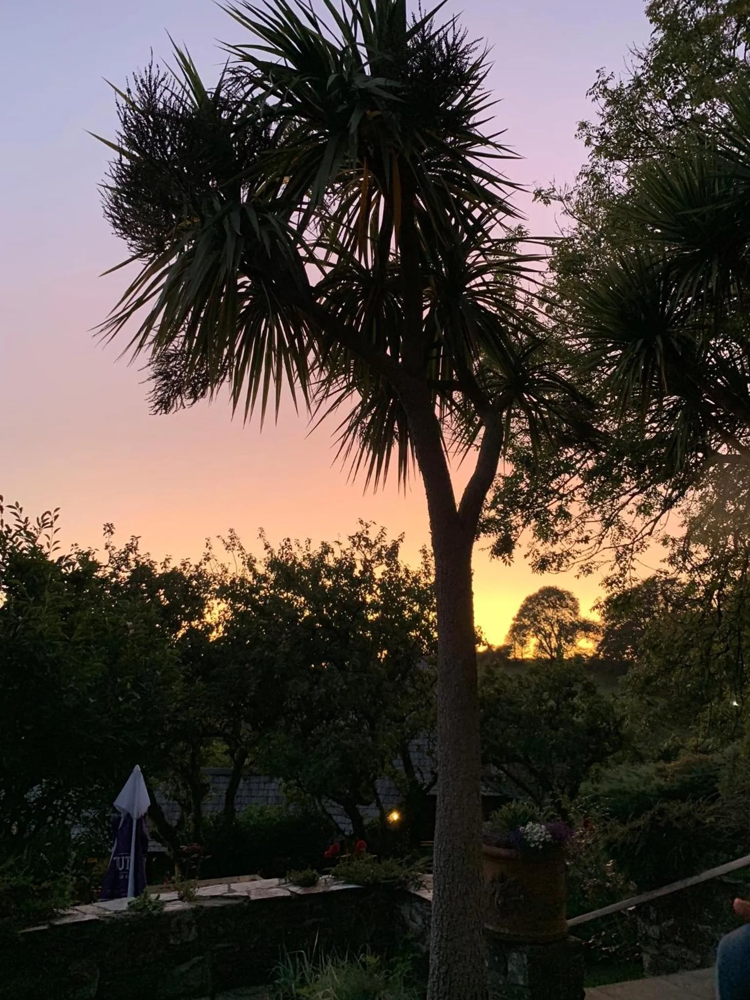 Patio in The Hoops Inn & Country Hotel