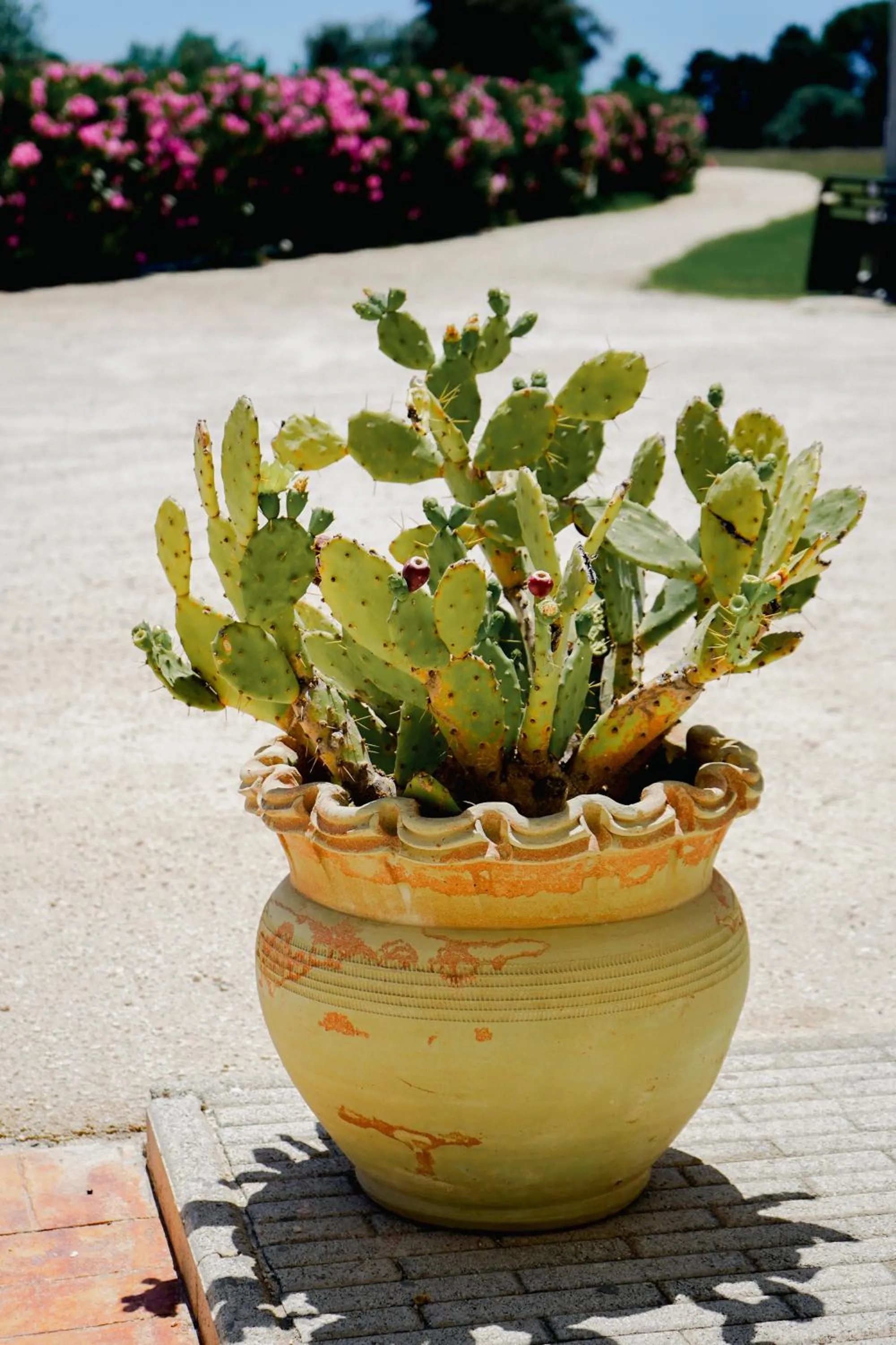 Garden view in RESIDENCE ARCHIMEDE