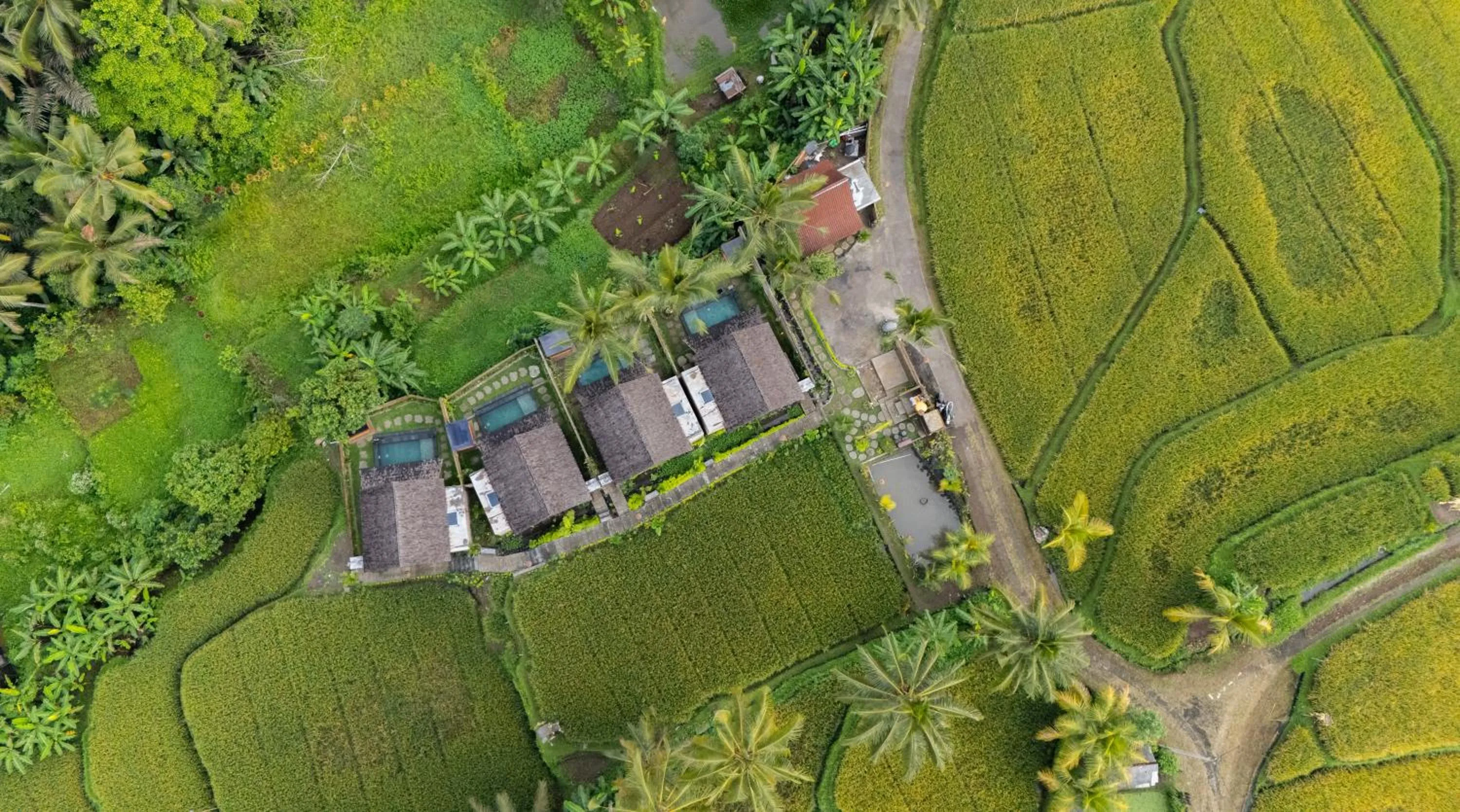 Bird's eye view in Moonterra Villa Sebatu