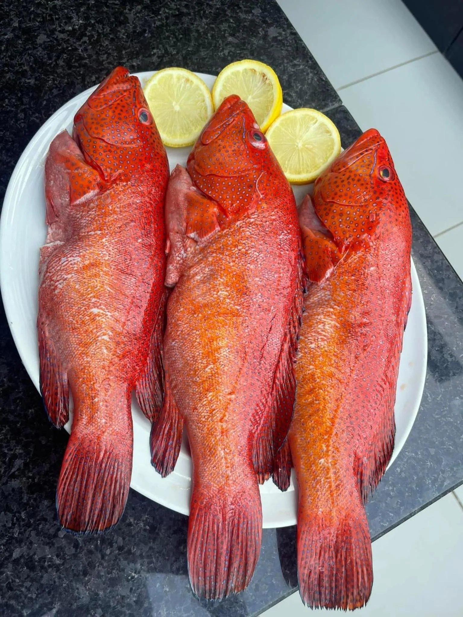 Restaurant/places to eat in Beramar Hotel