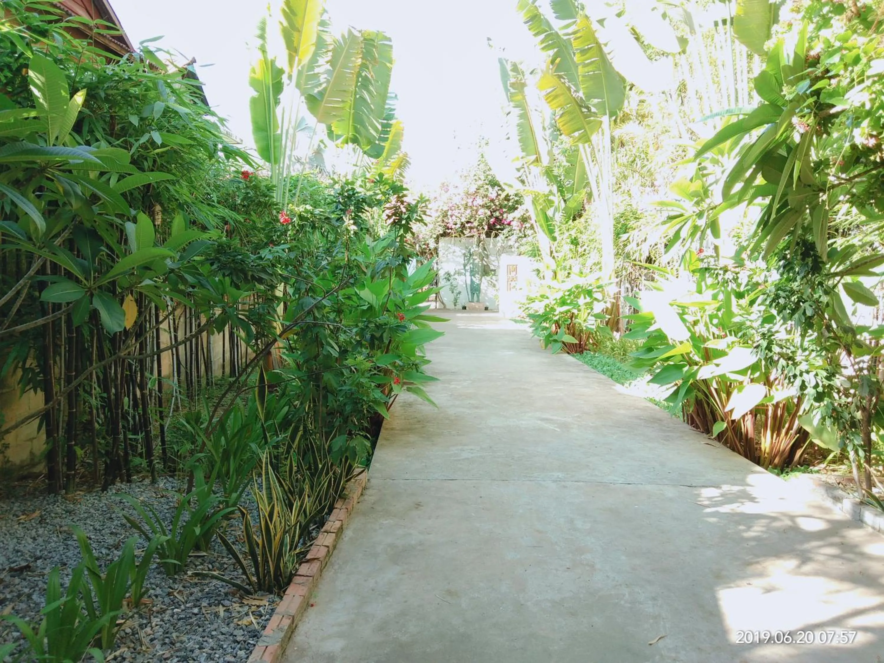 Natural landscape in Eureka Villas Siem Reap