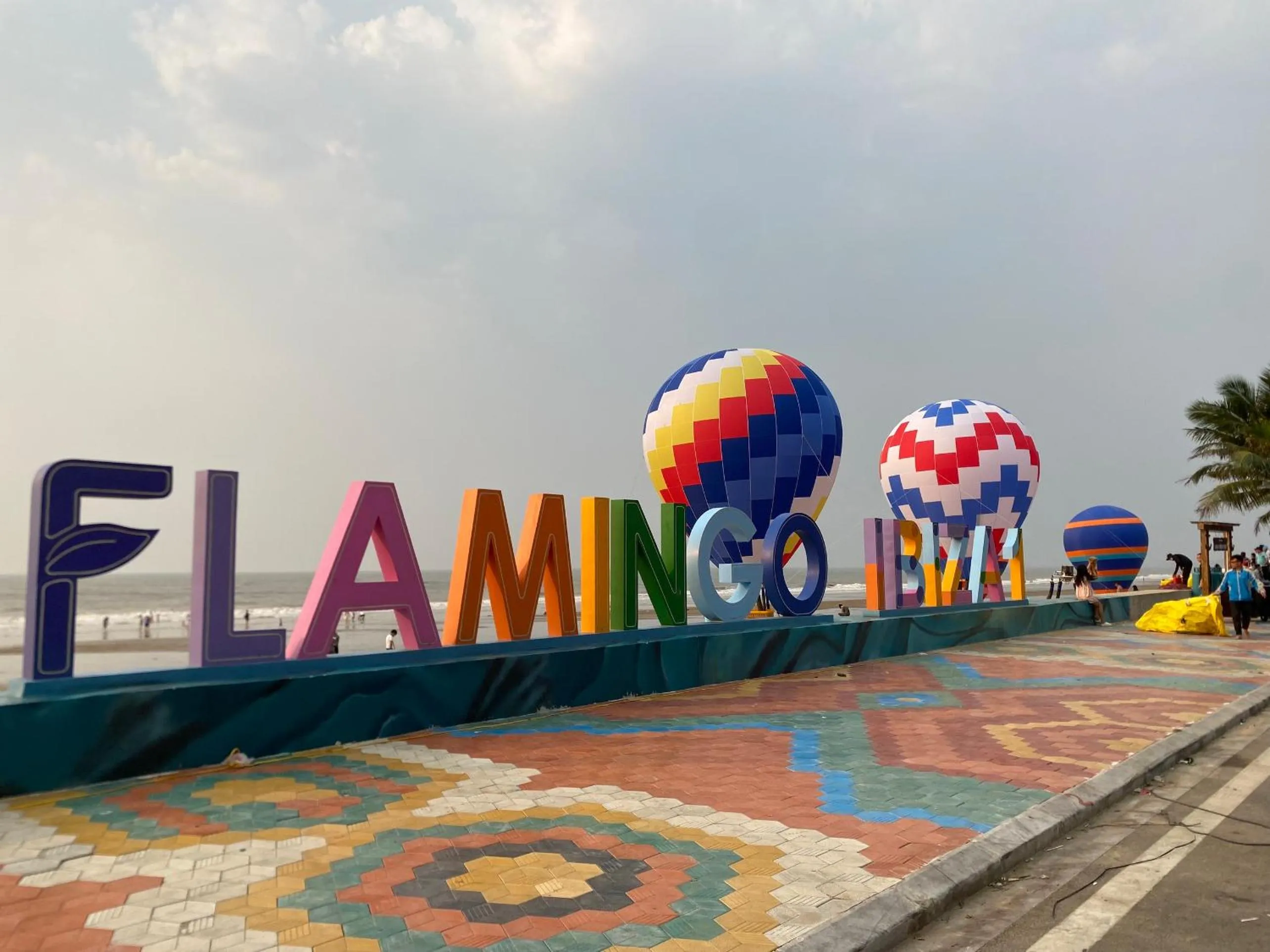 Day in Flamingos Hải Tiến