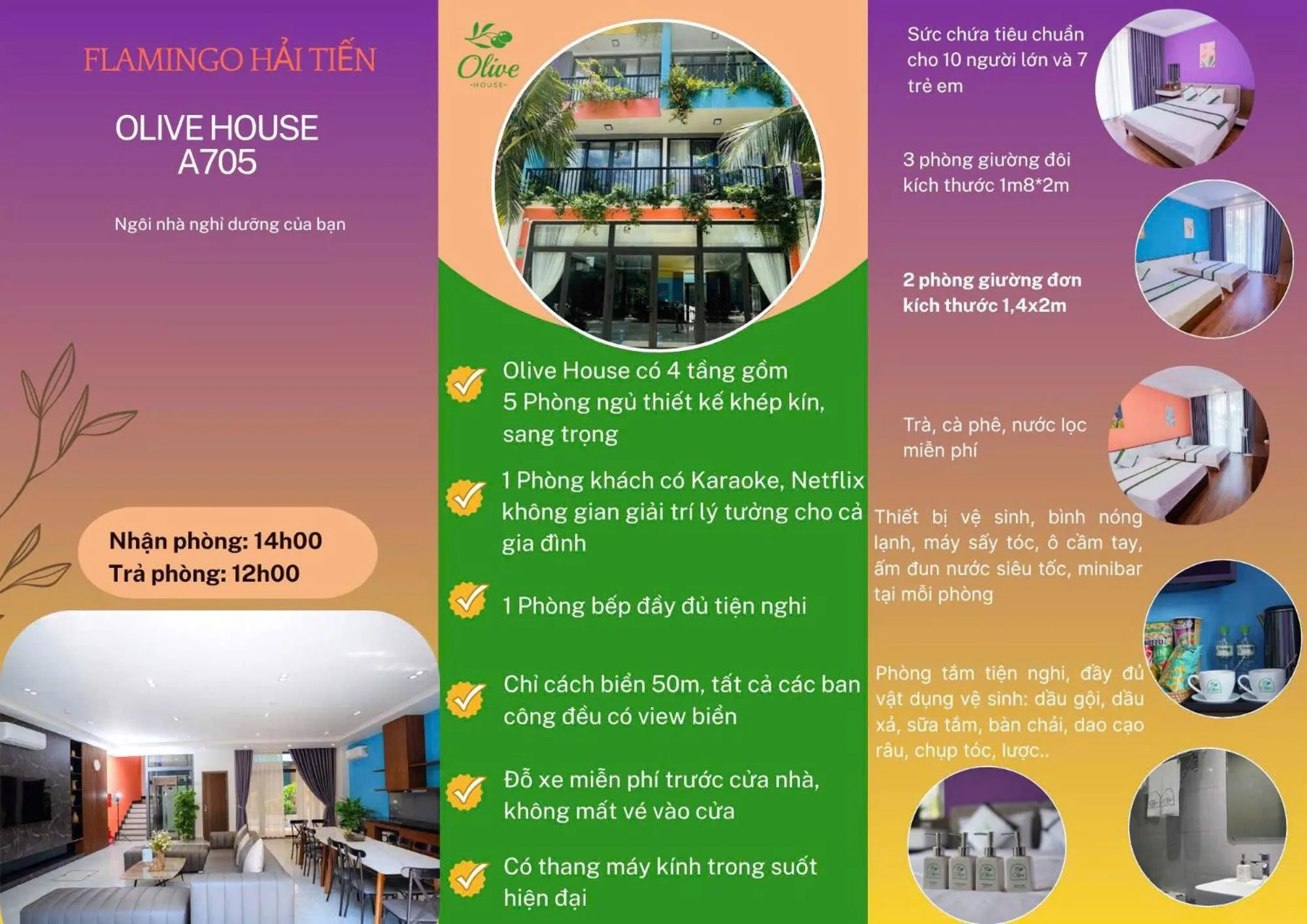 Text overlay in Flamingos Hải Tiến