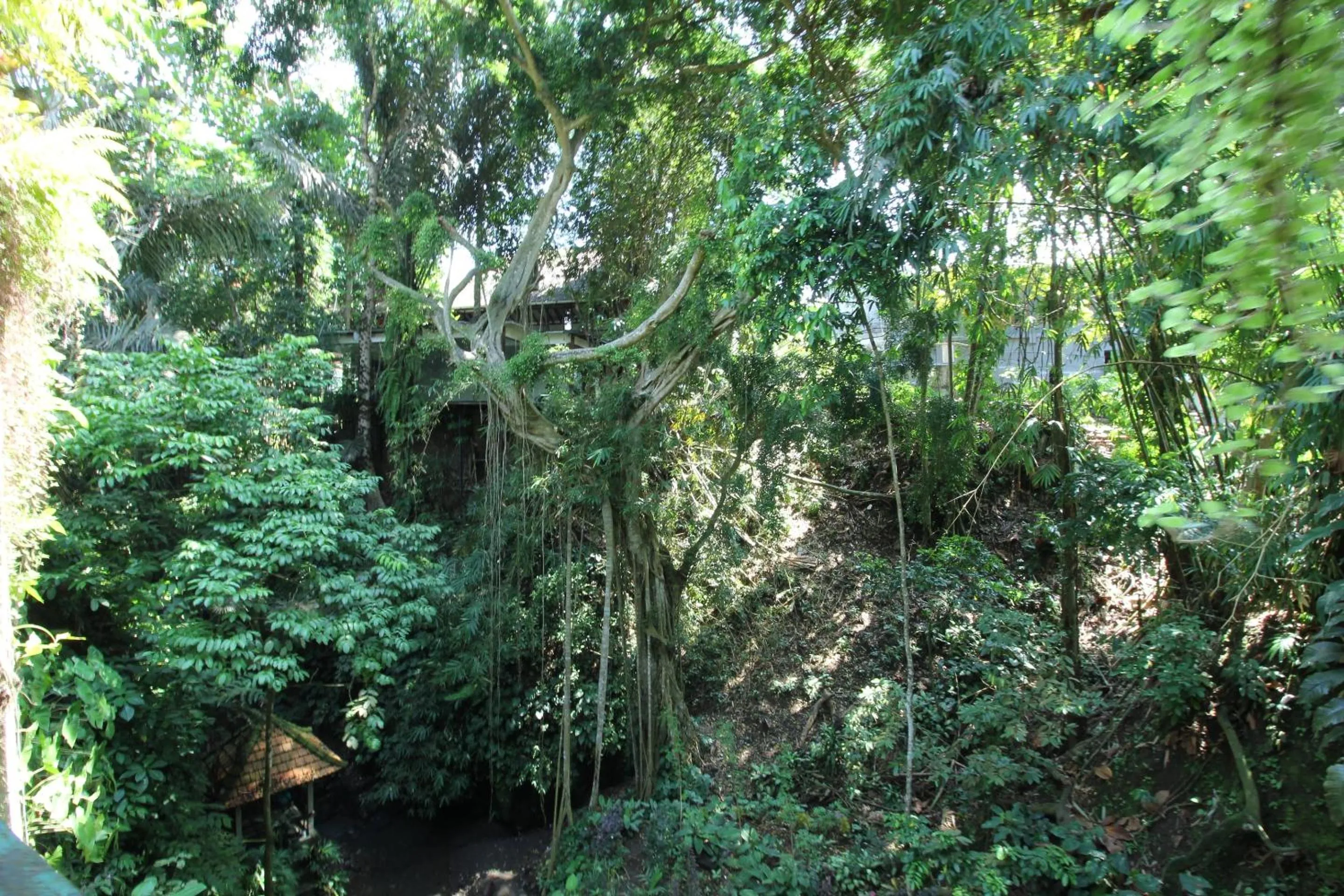 Lobby or reception in Belvilla Padma Legian Resort Near Monkey ForestNearUbud Palace