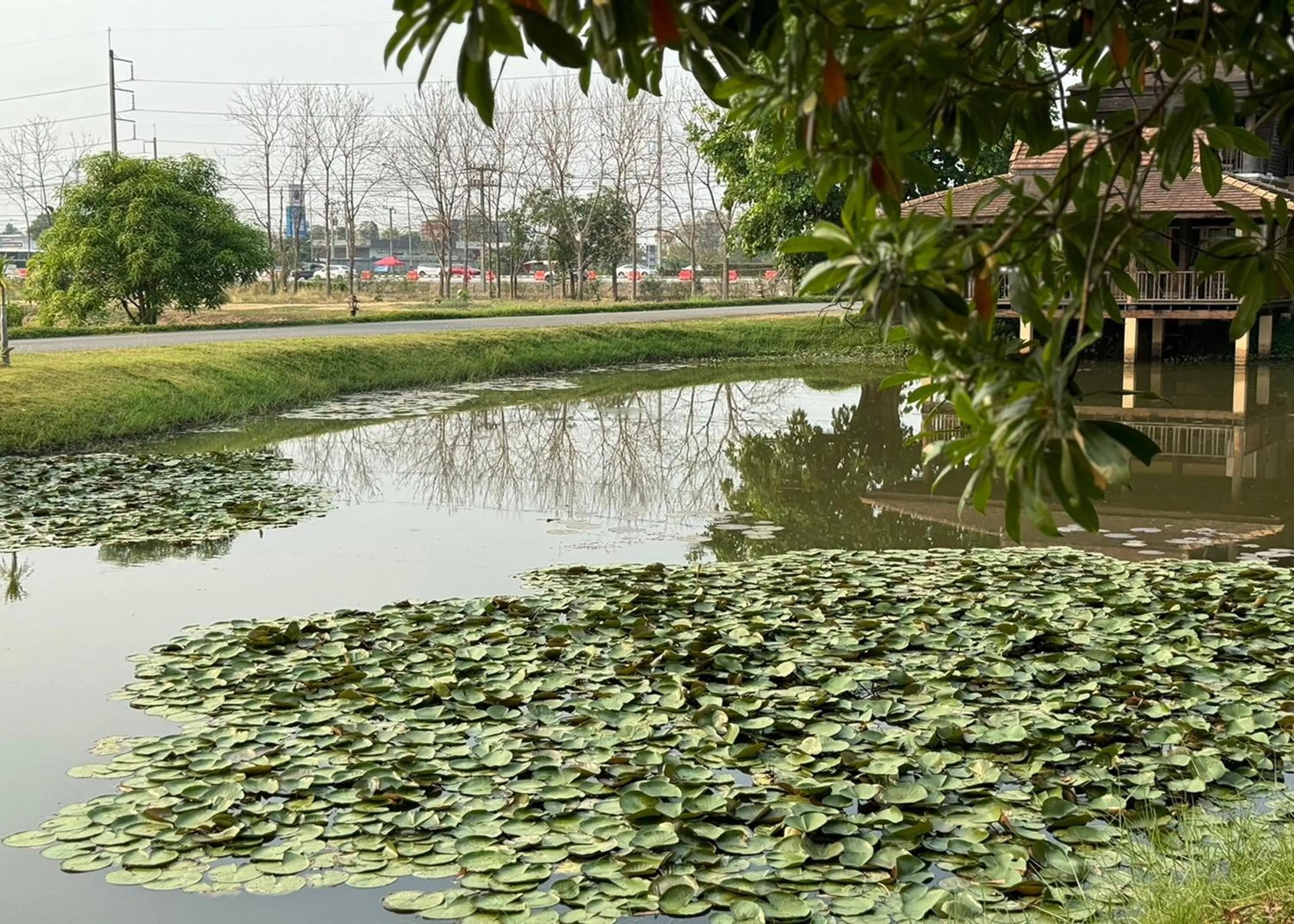 Natural landscape in Karina Resort Chiang Mai