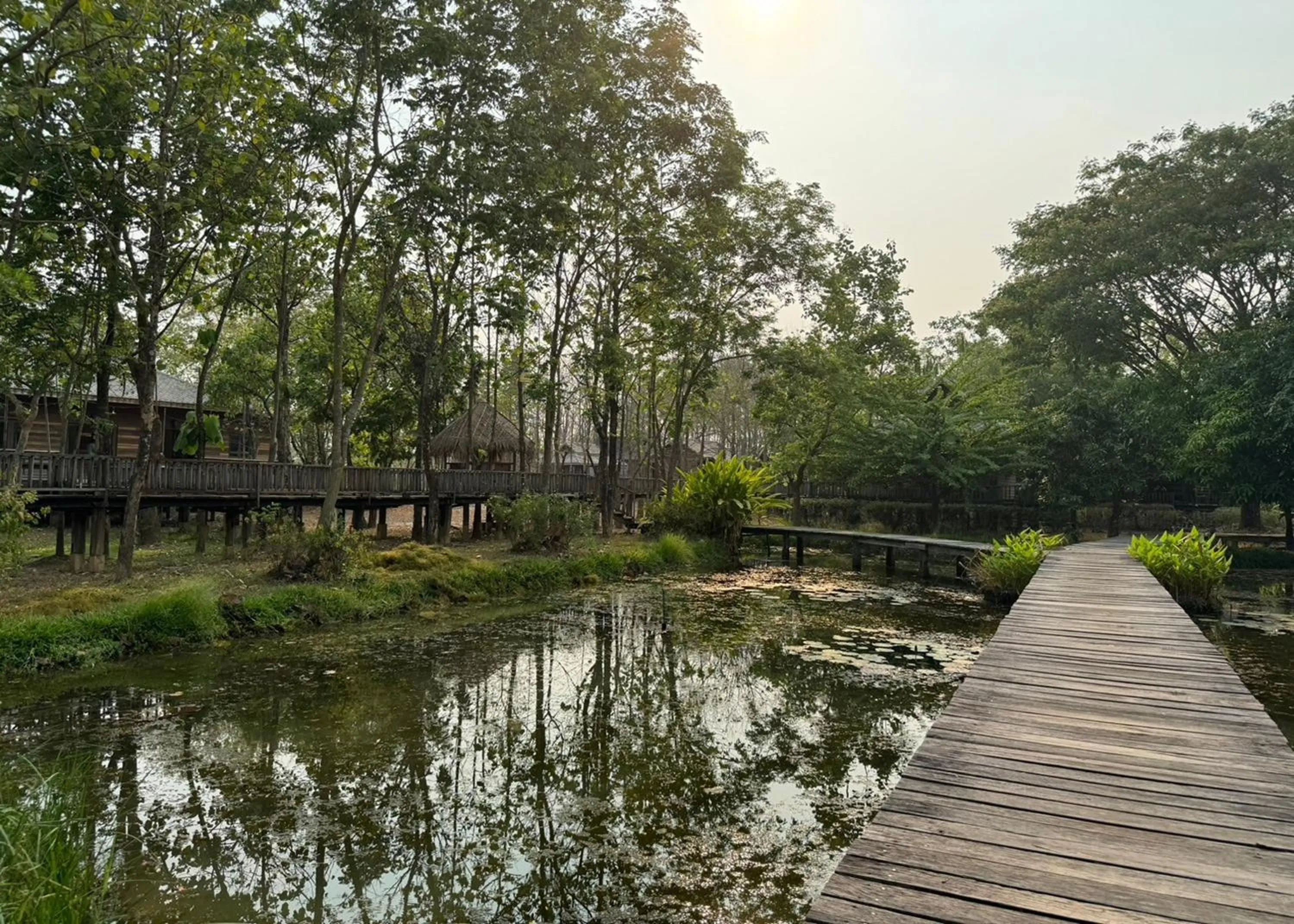 Natural landscape in Karina Resort Chiang Mai