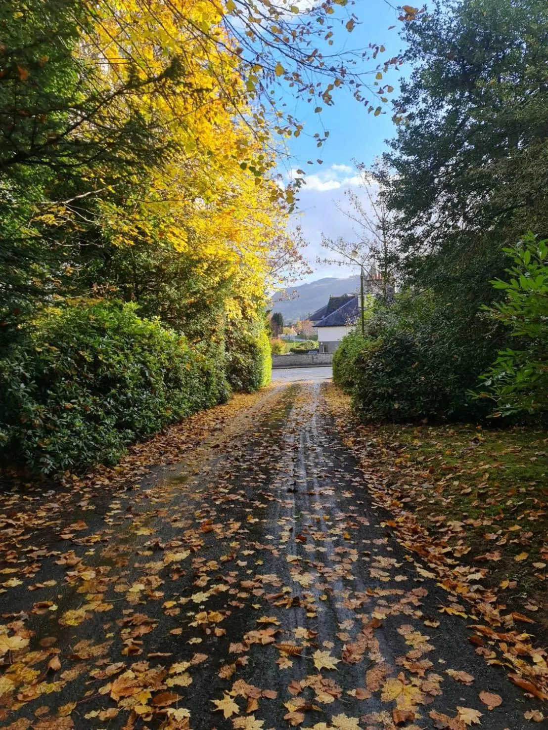 Natural landscape in Wellwood Manor