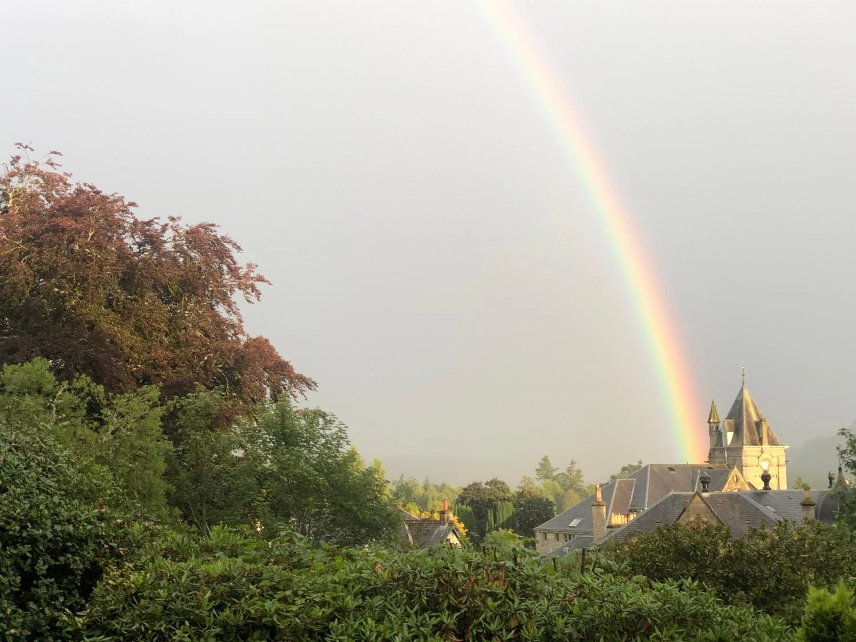 Natural landscape in Wellwood Manor