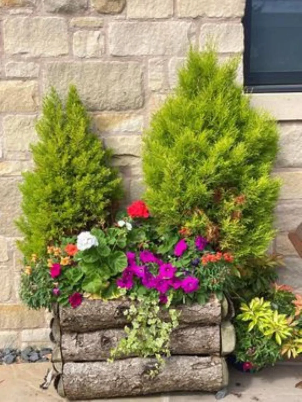 Garden in The Masons Arms