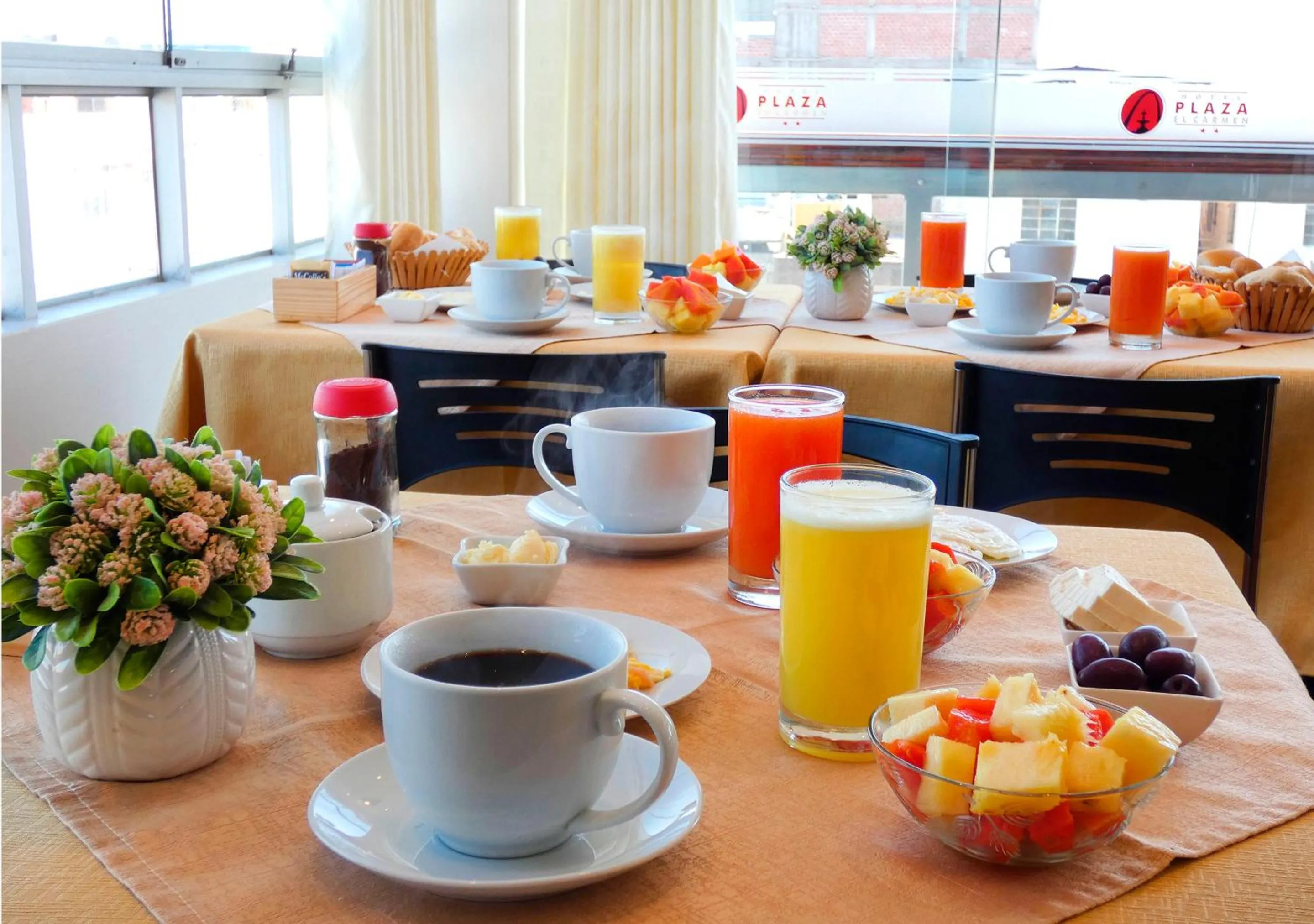 Balcony/Terrace in Hotel Plaza