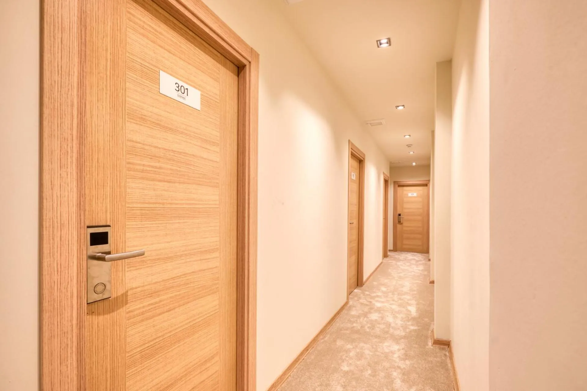 On site in Elephant In The Room