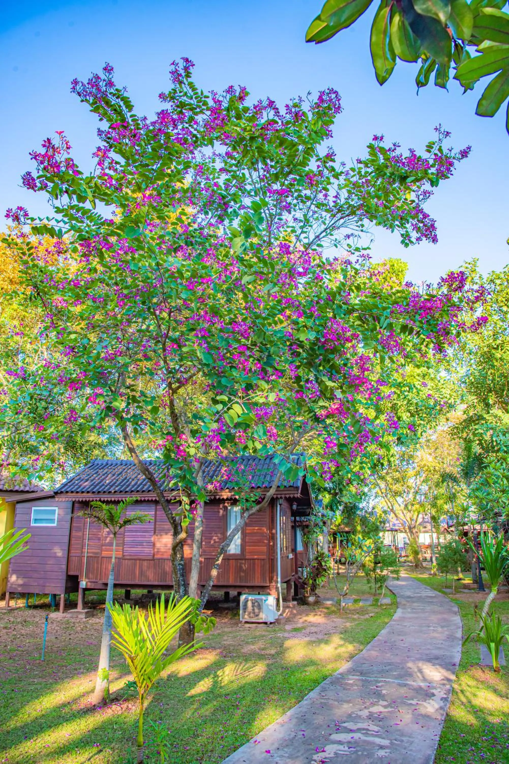 View (from property/room) in Park & Pool Resort