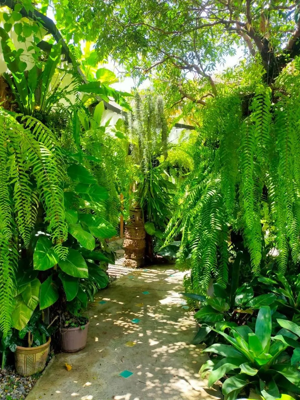 Garden in Park & Pool Resort