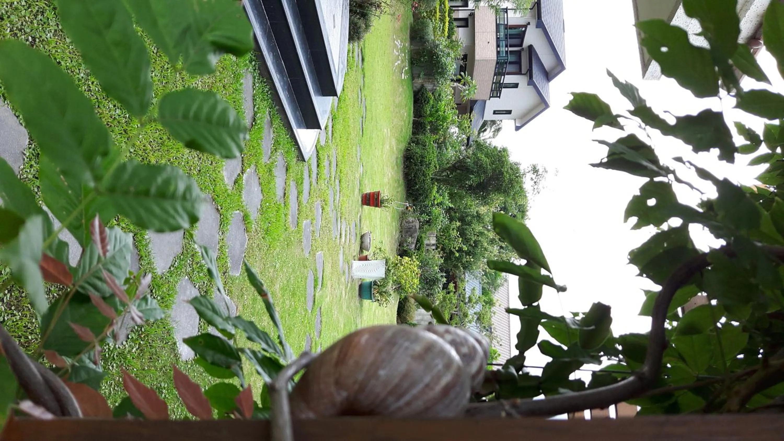 Garden in Slow Fly B&B