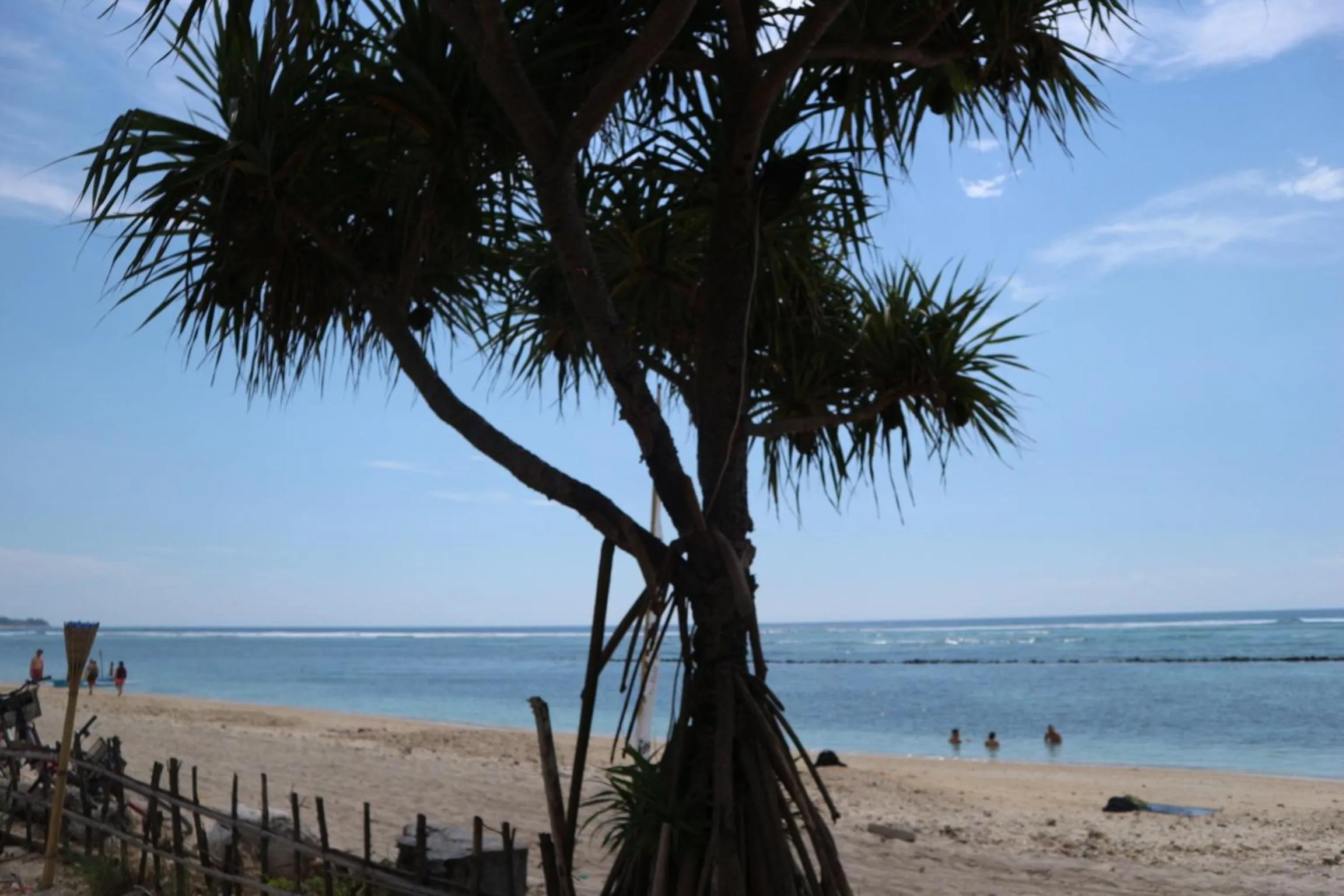 Day in Palm Trees Villas