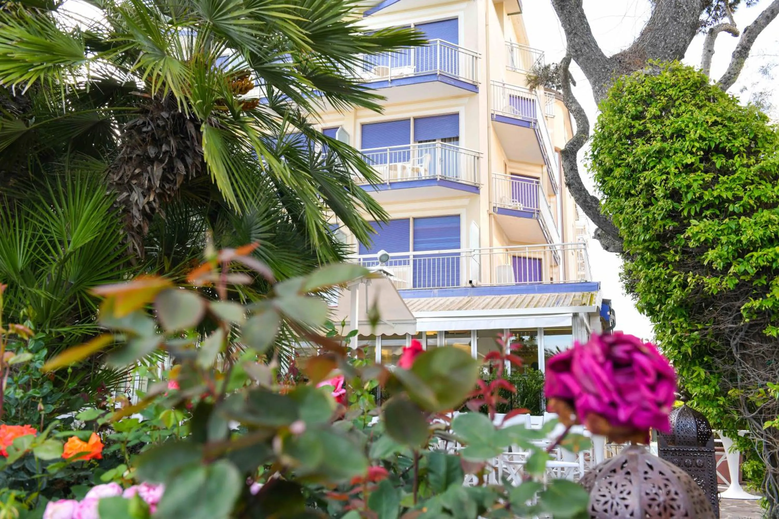 Property building in Hotel Majestic