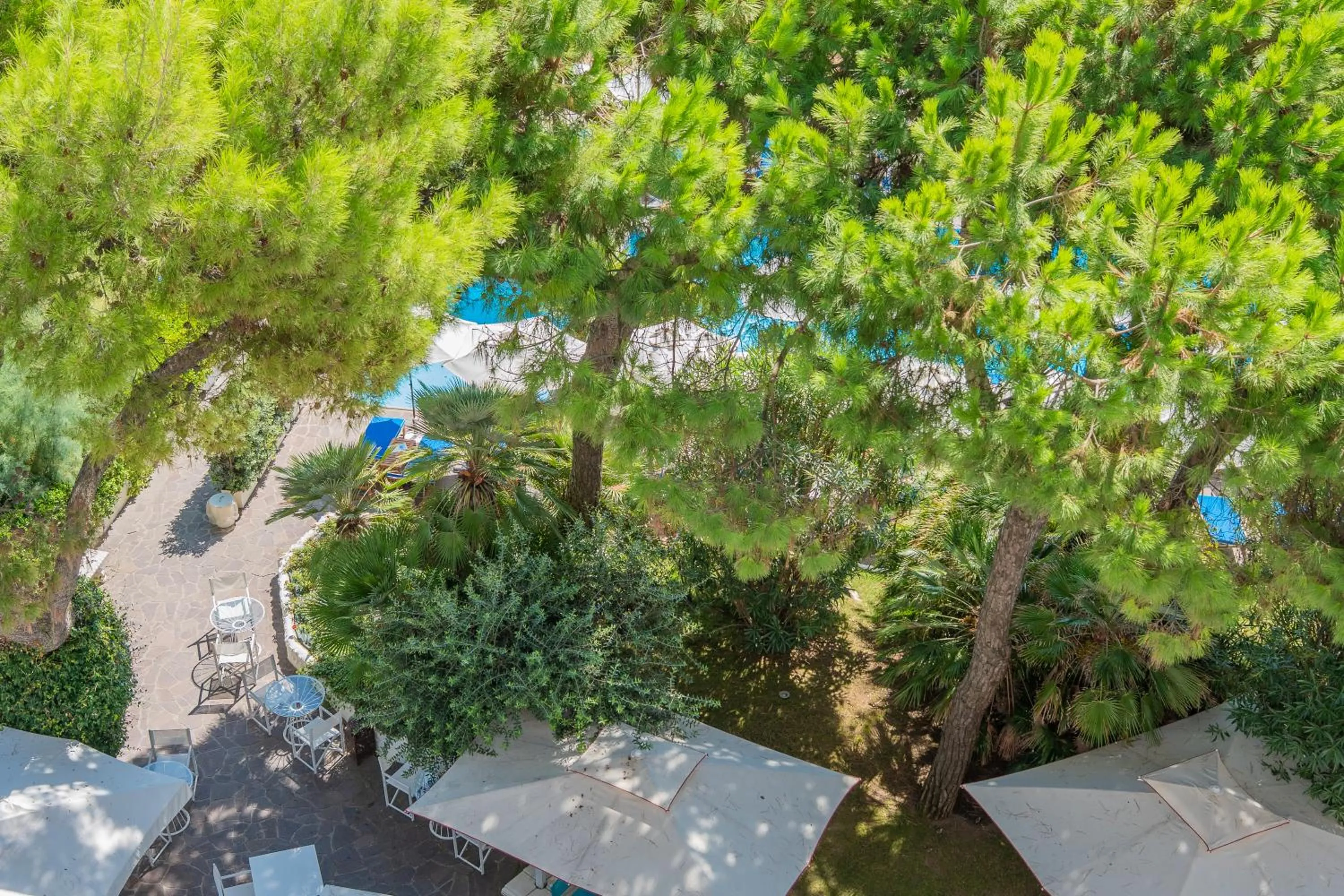 Garden view in Hotel Majestic