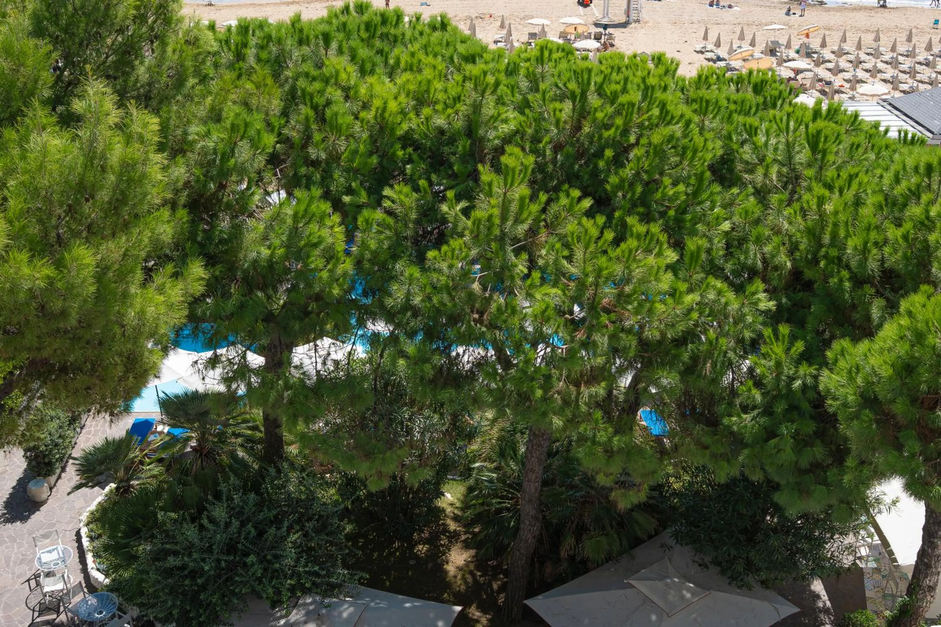 Garden view in Hotel Majestic