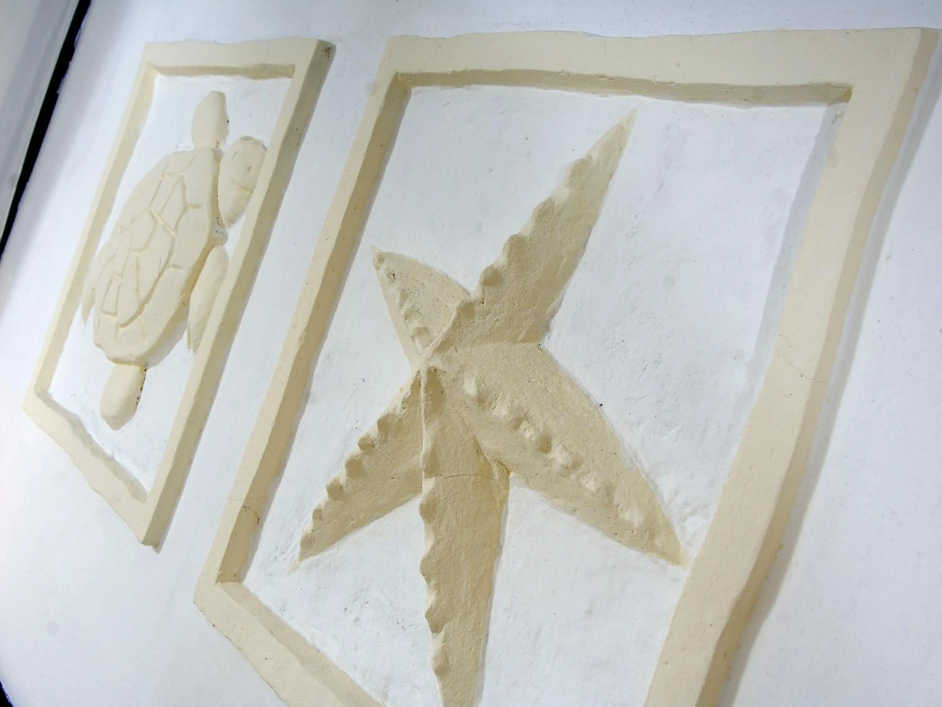 Property building in Pinewood Beach Resort and Spa