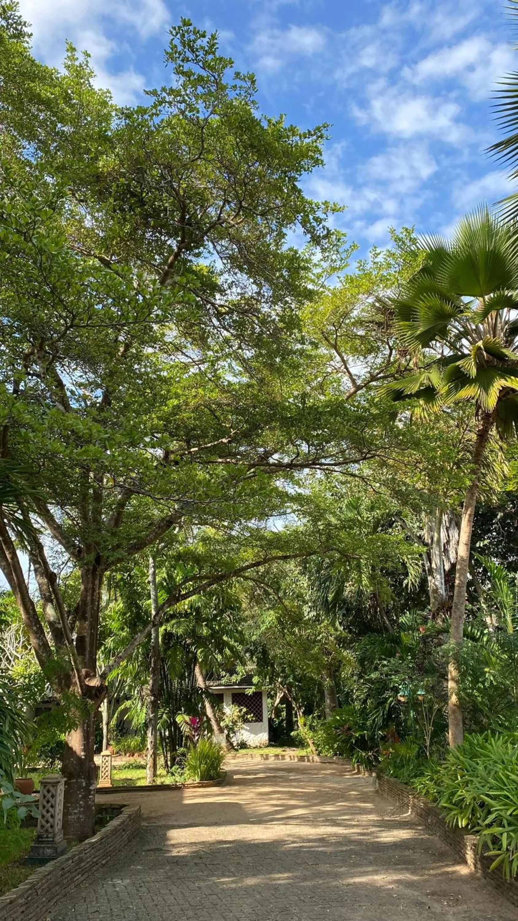 Garden in Pinewood Beach Resort and Spa