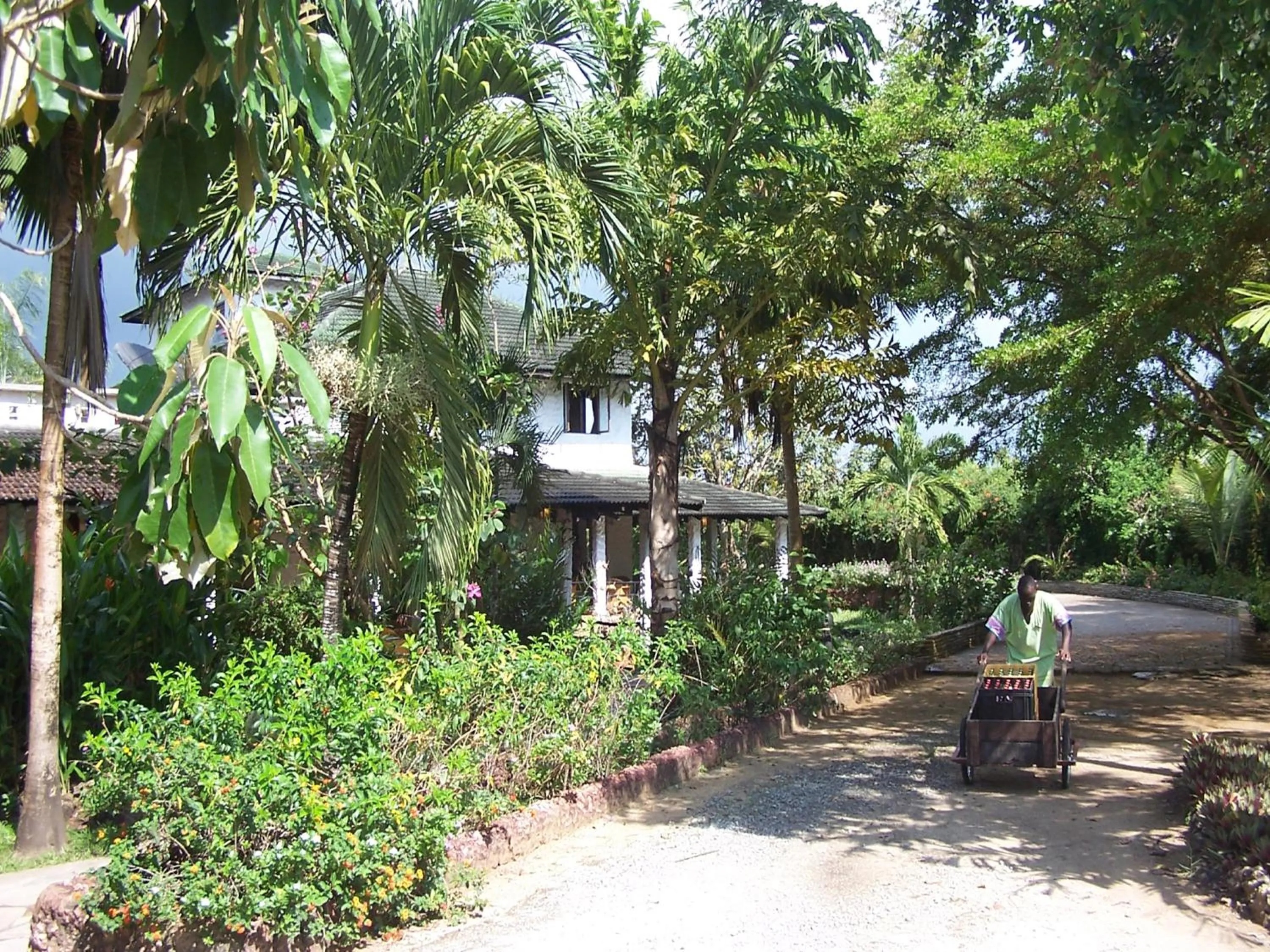 Garden in Pinewood Beach Resort and Spa