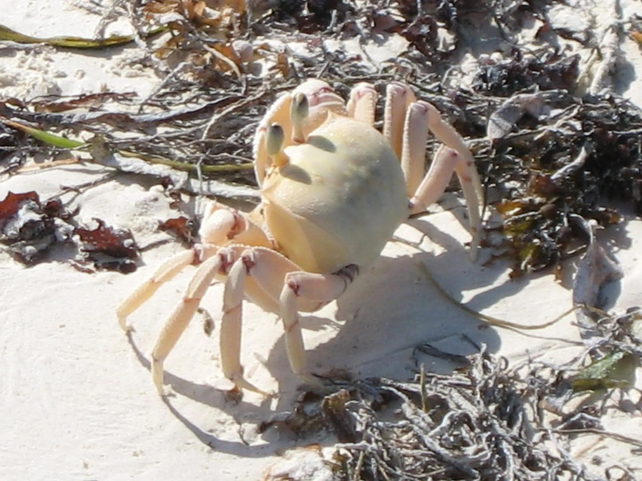 Activities in Pinewood Beach Resort and Spa