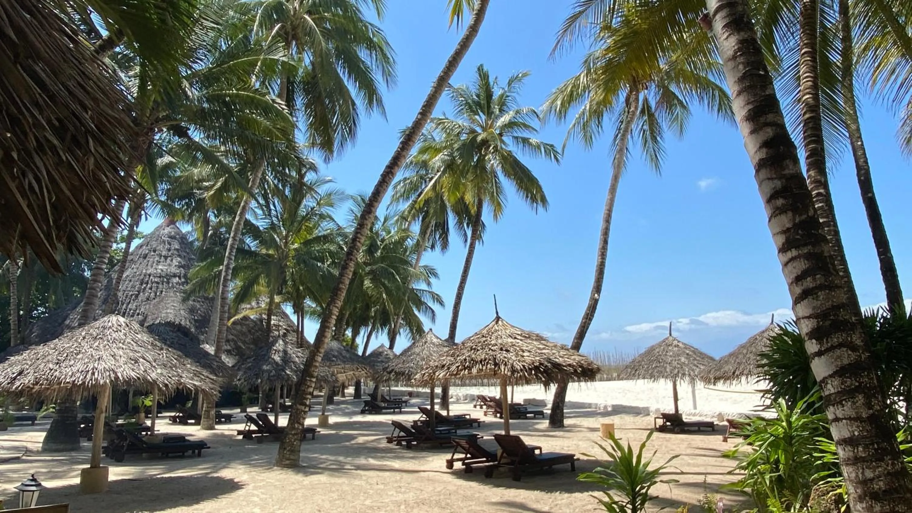 Beach in Pinewood Beach Resort and Spa