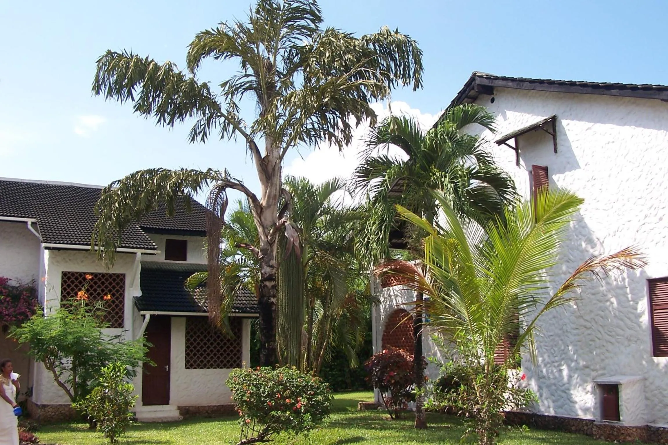 Garden view in Pinewood Beach Resort and Spa