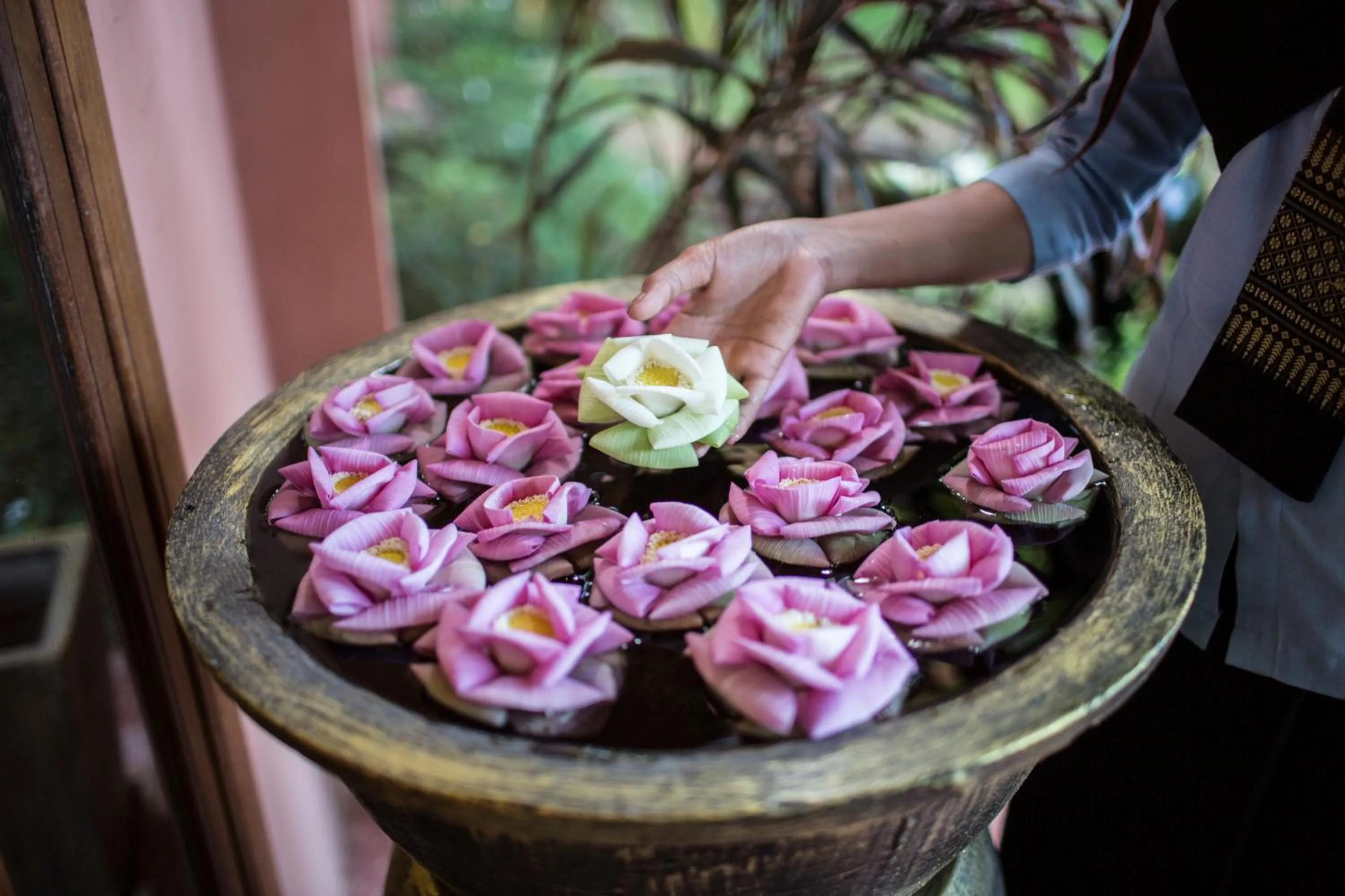 View (from property/room) in Kouprey Hotel