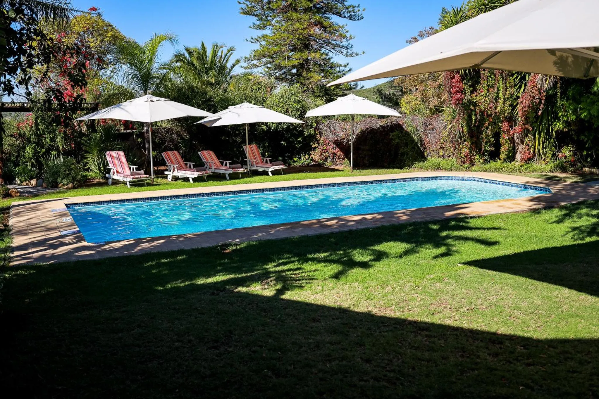 Swimming pool in Altes Landhaus Country Lodge