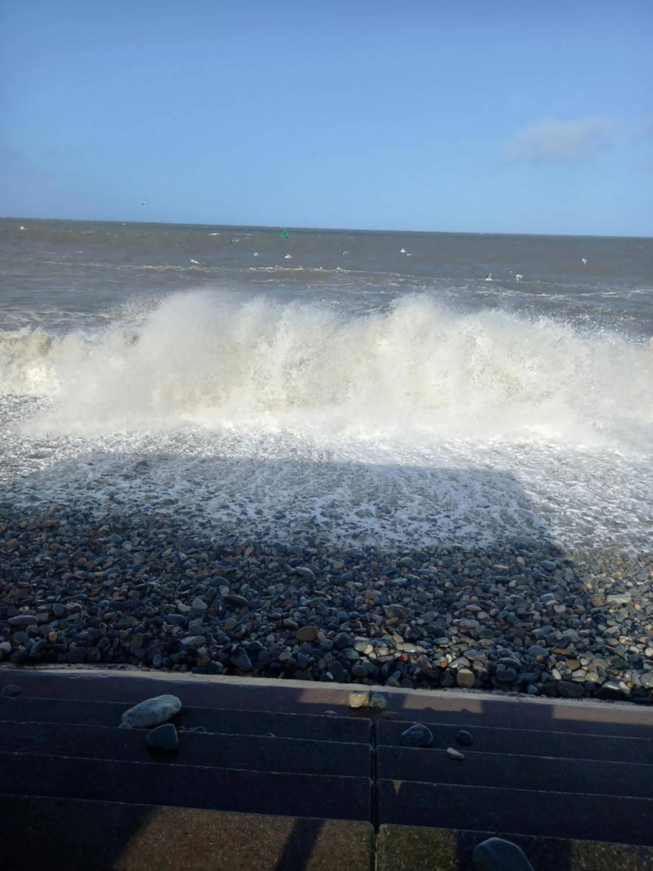 Natural landscape in Glan Y Mor Hotel (Adult Only)