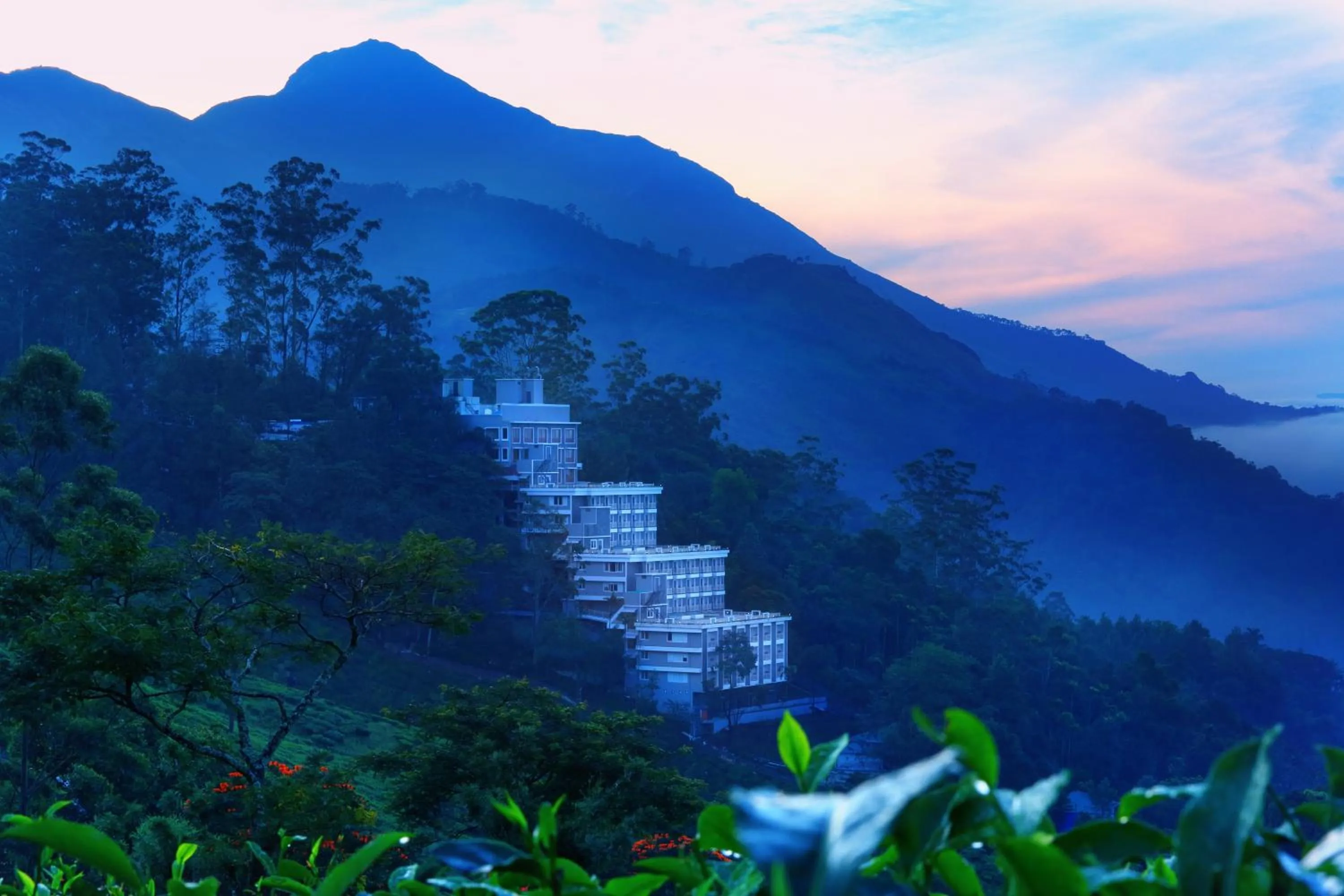 Neighbourhood in Chandys Windy Woods Munnar