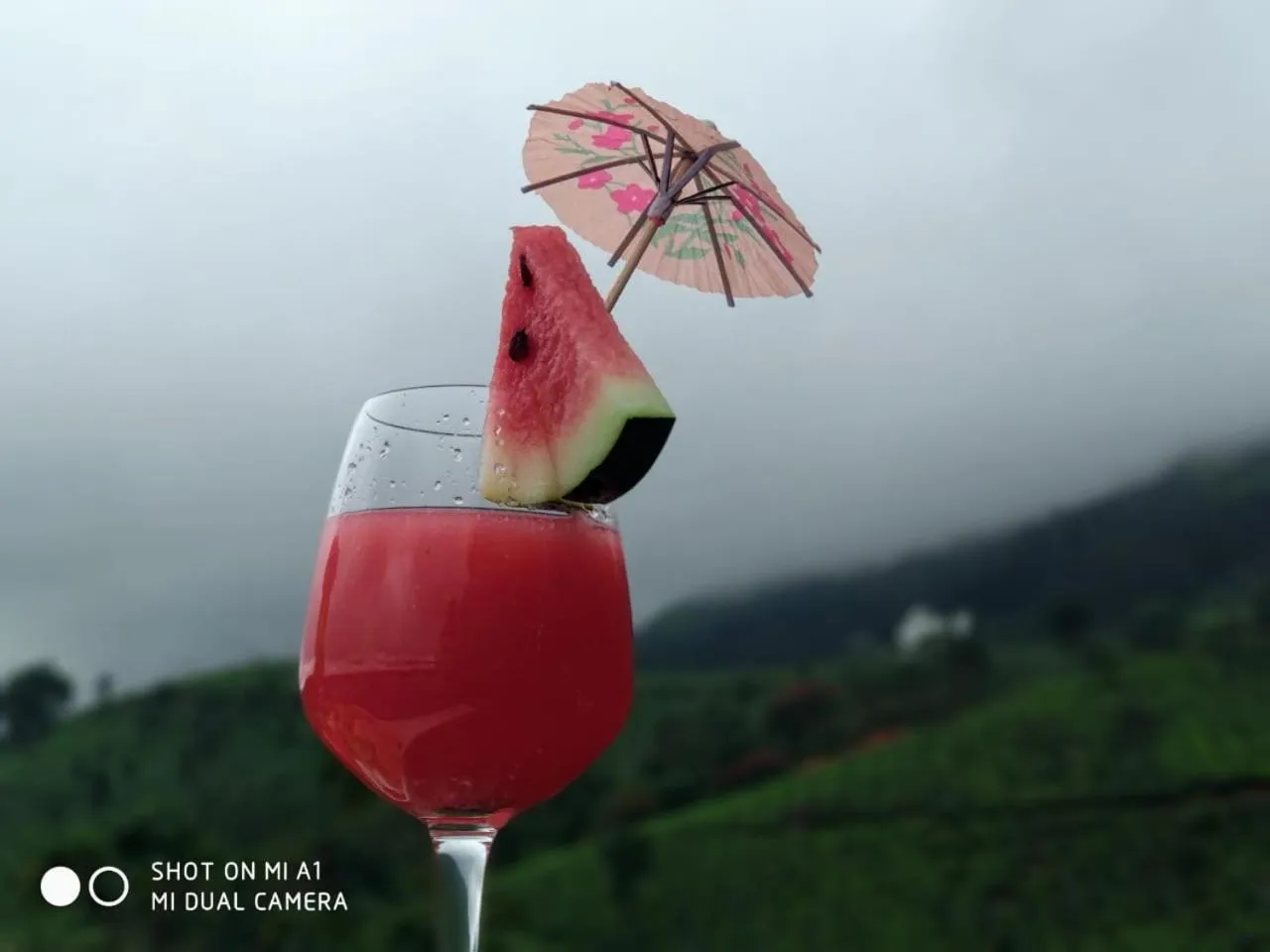 Restaurant/places to eat in Chandys Windy Woods Munnar