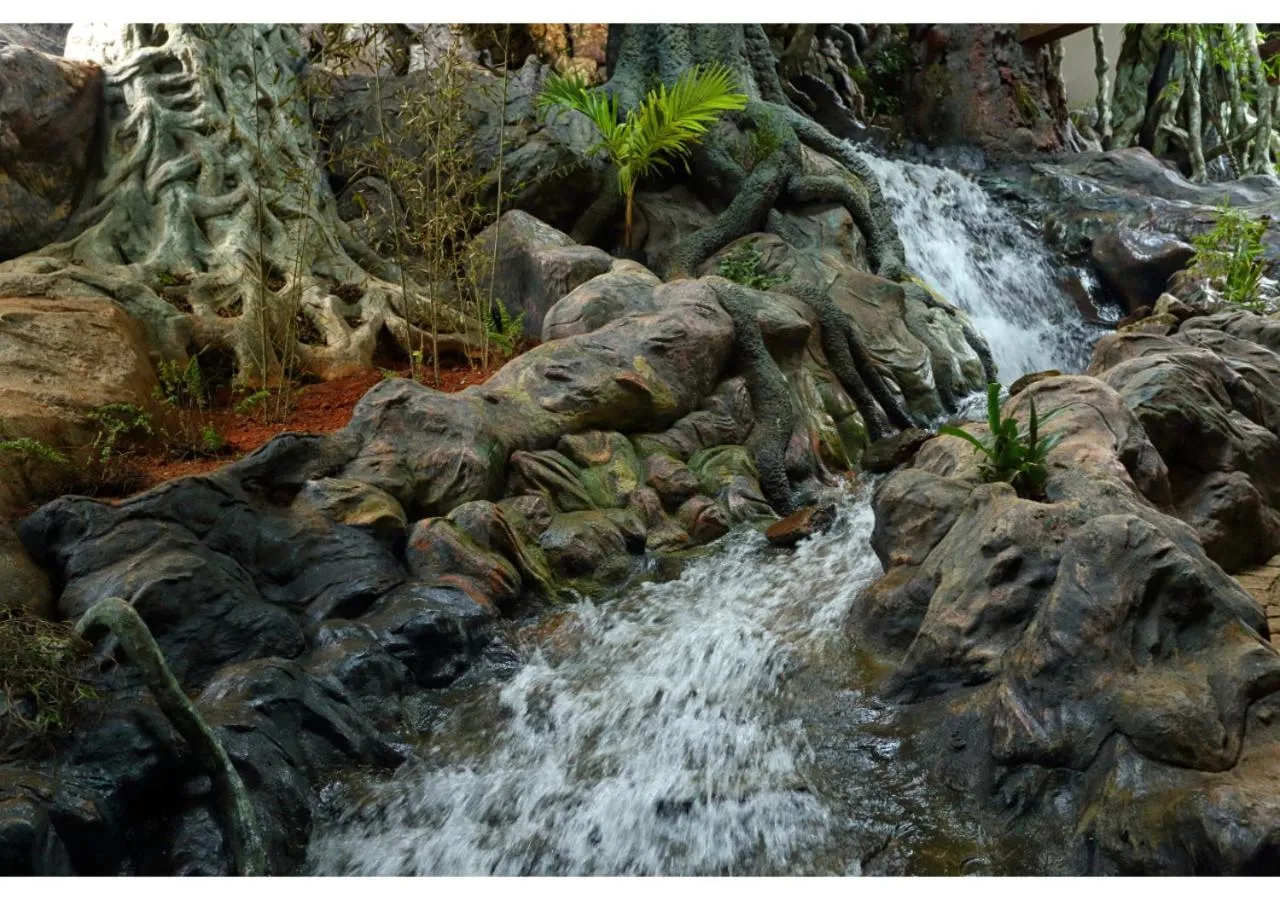 Other in Chandys Windy Woods Munnar