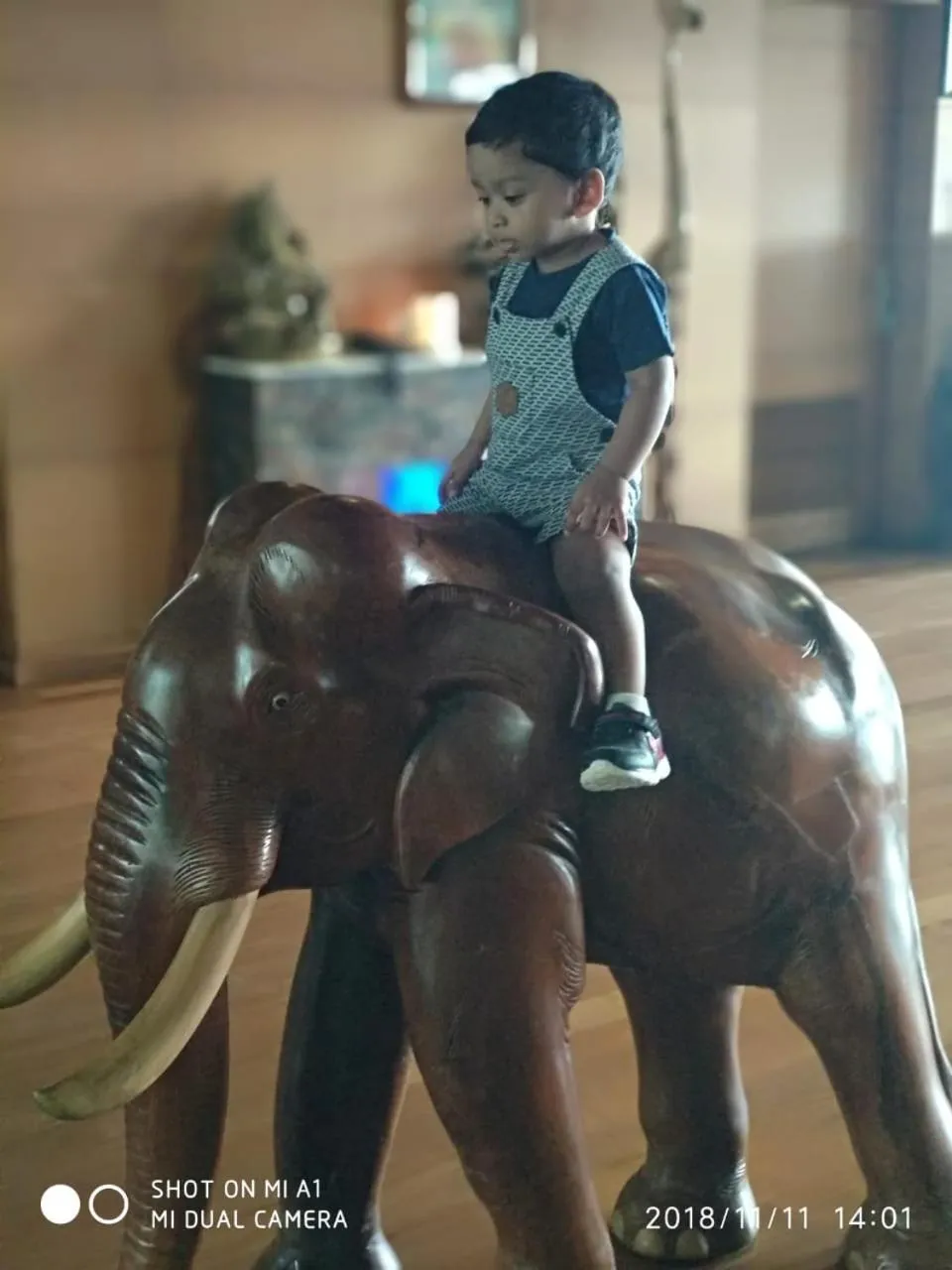 Activities in Chandys Windy Woods Munnar