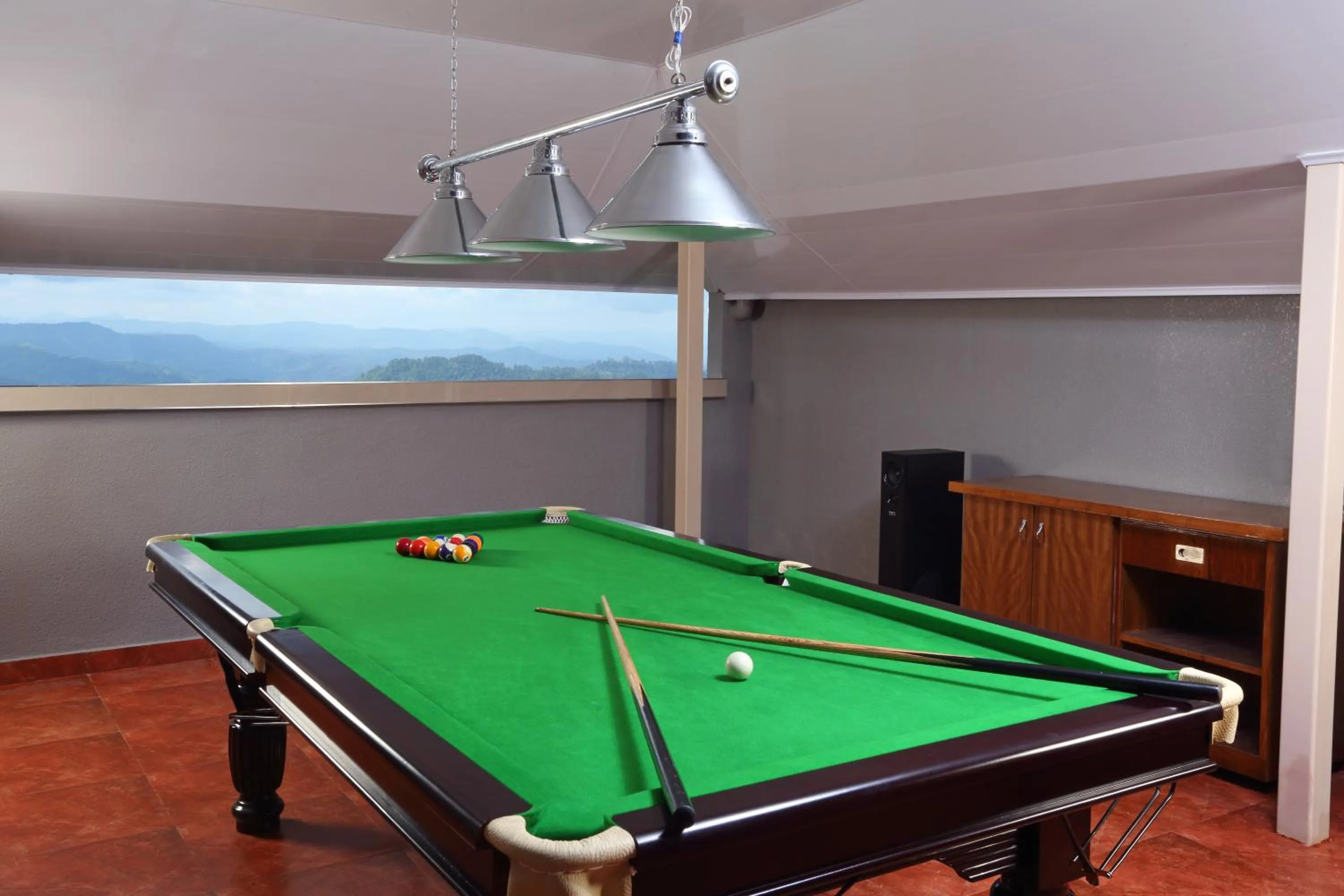 Billiard in Chandys Windy Woods Munnar