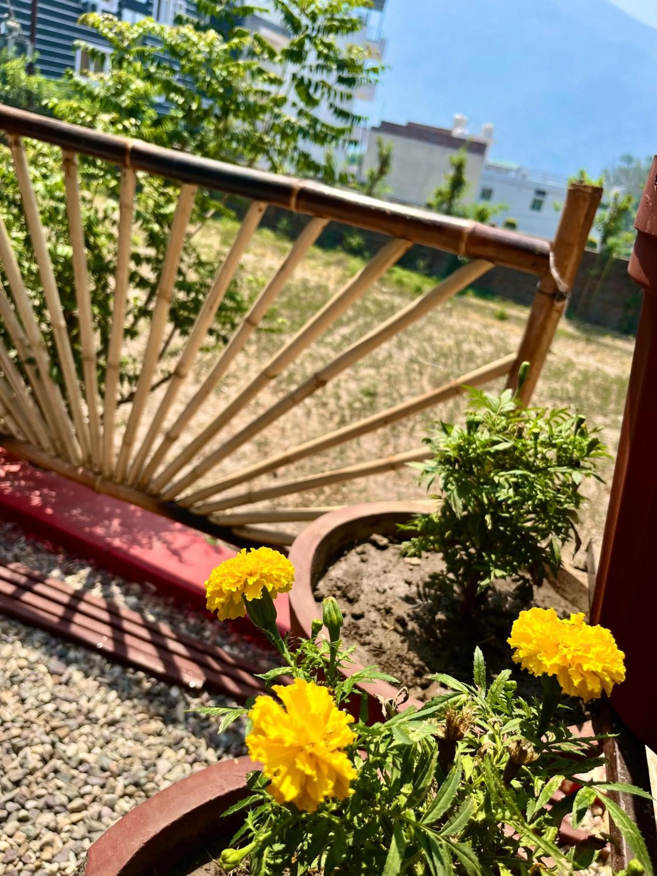 Bamboo Garden Cottages and Cafe