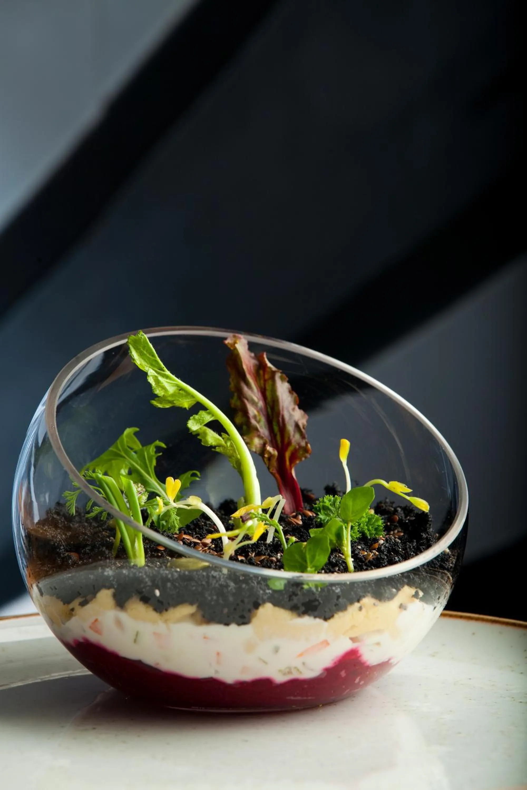 Restaurant/places to eat in Novotel Santiago Vitacura