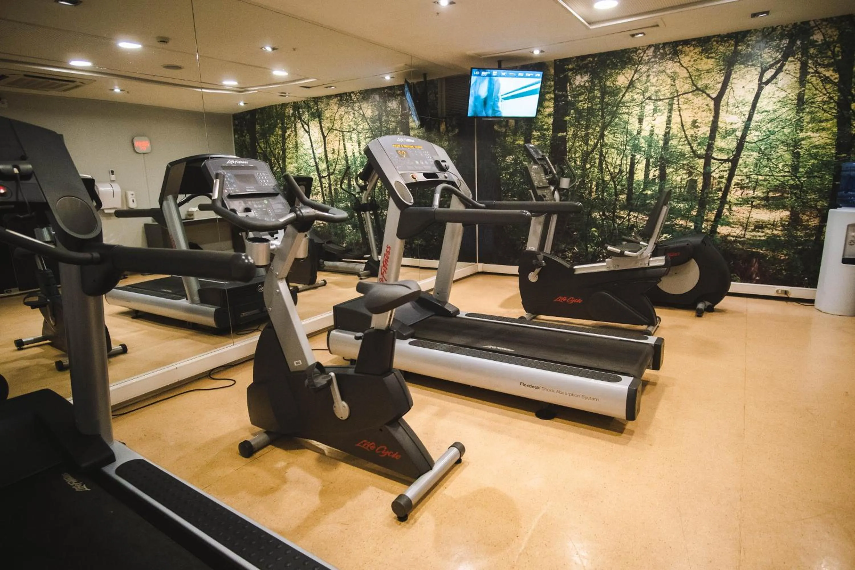 Fitness centre/facilities in Novotel Santiago Vitacura