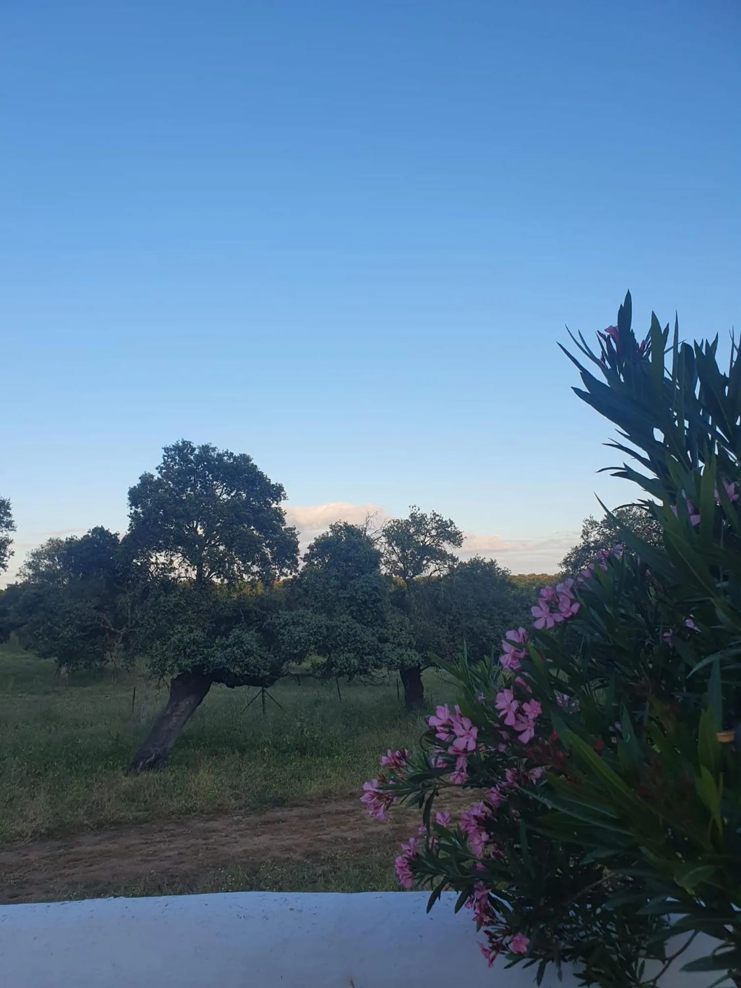 Spring in Hotel Rural El Vaqueril
