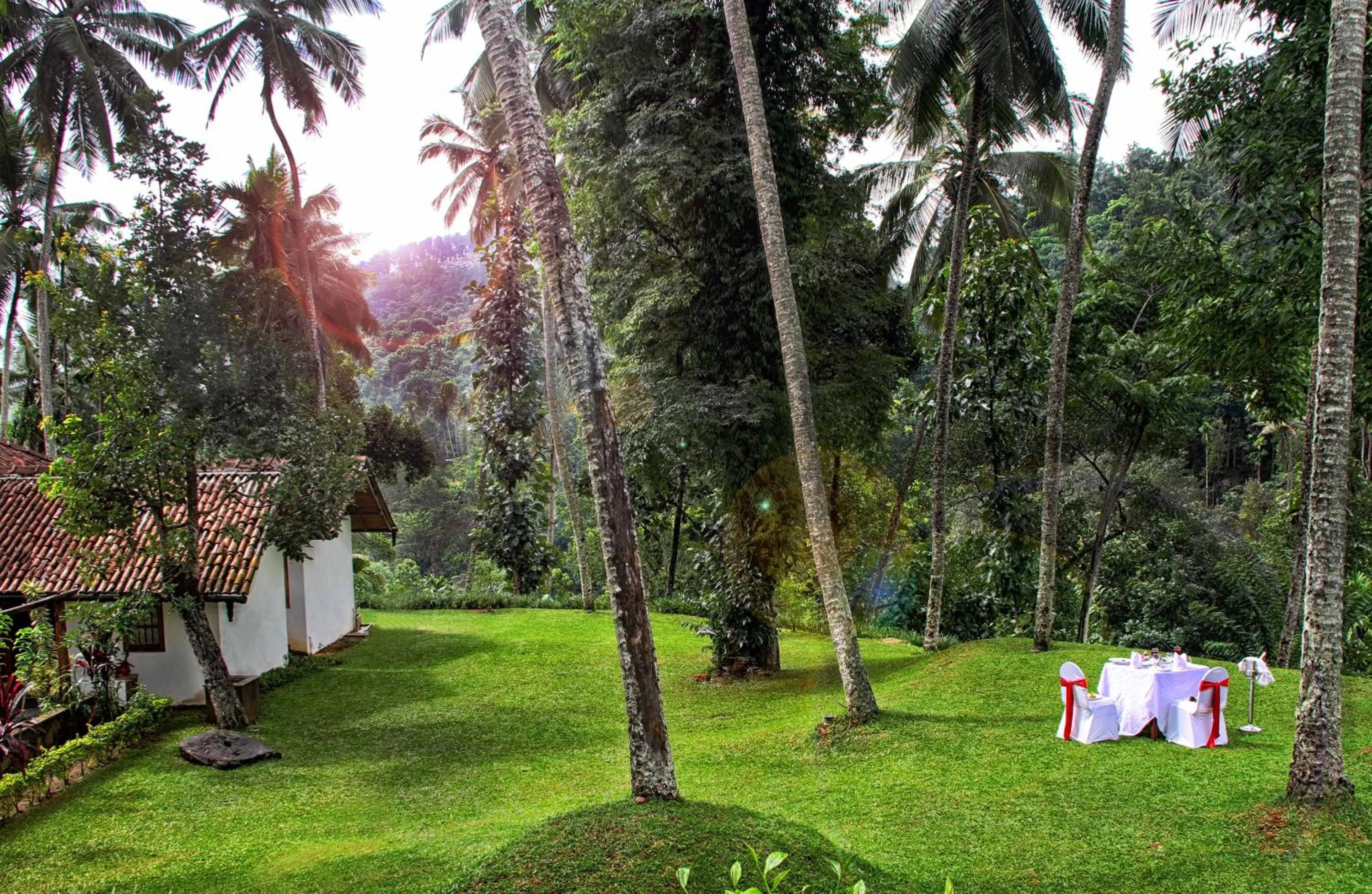 Garden in Athulya Villas, Kandy