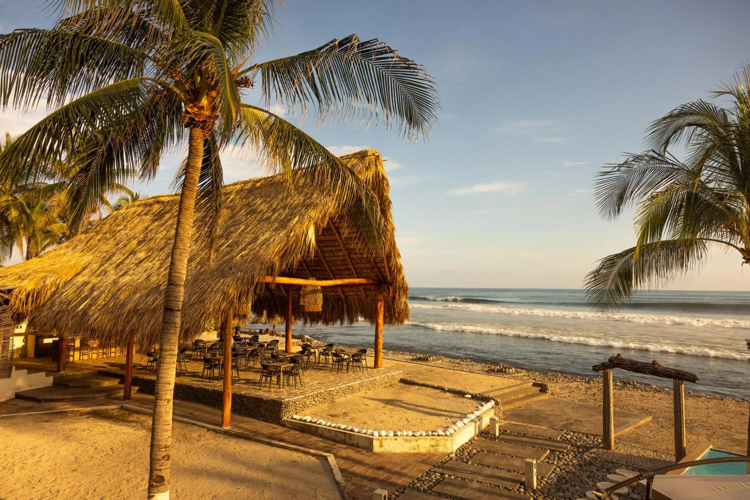 The rooftop Beach & club