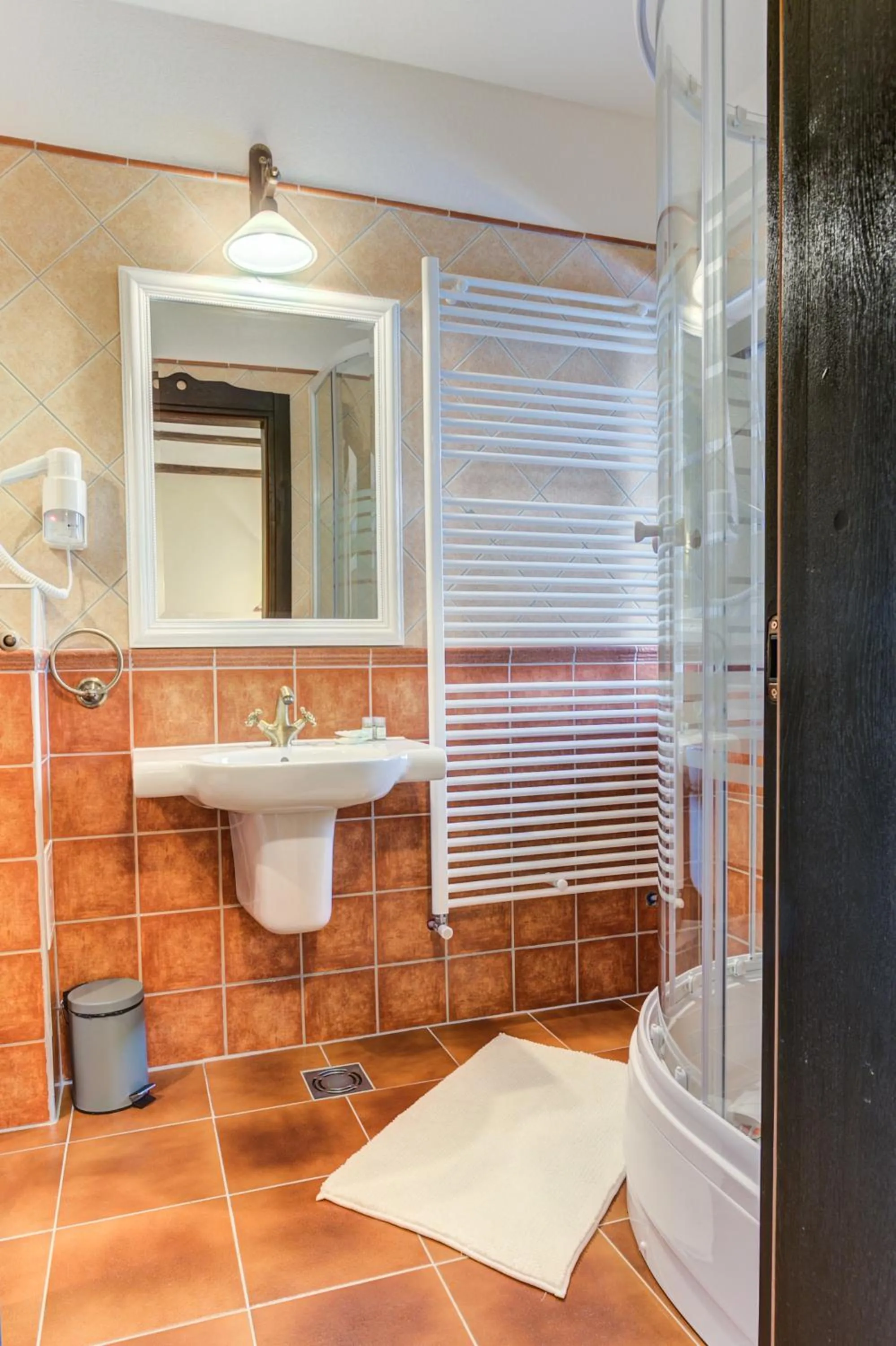 Bathroom in Conacul Ambient