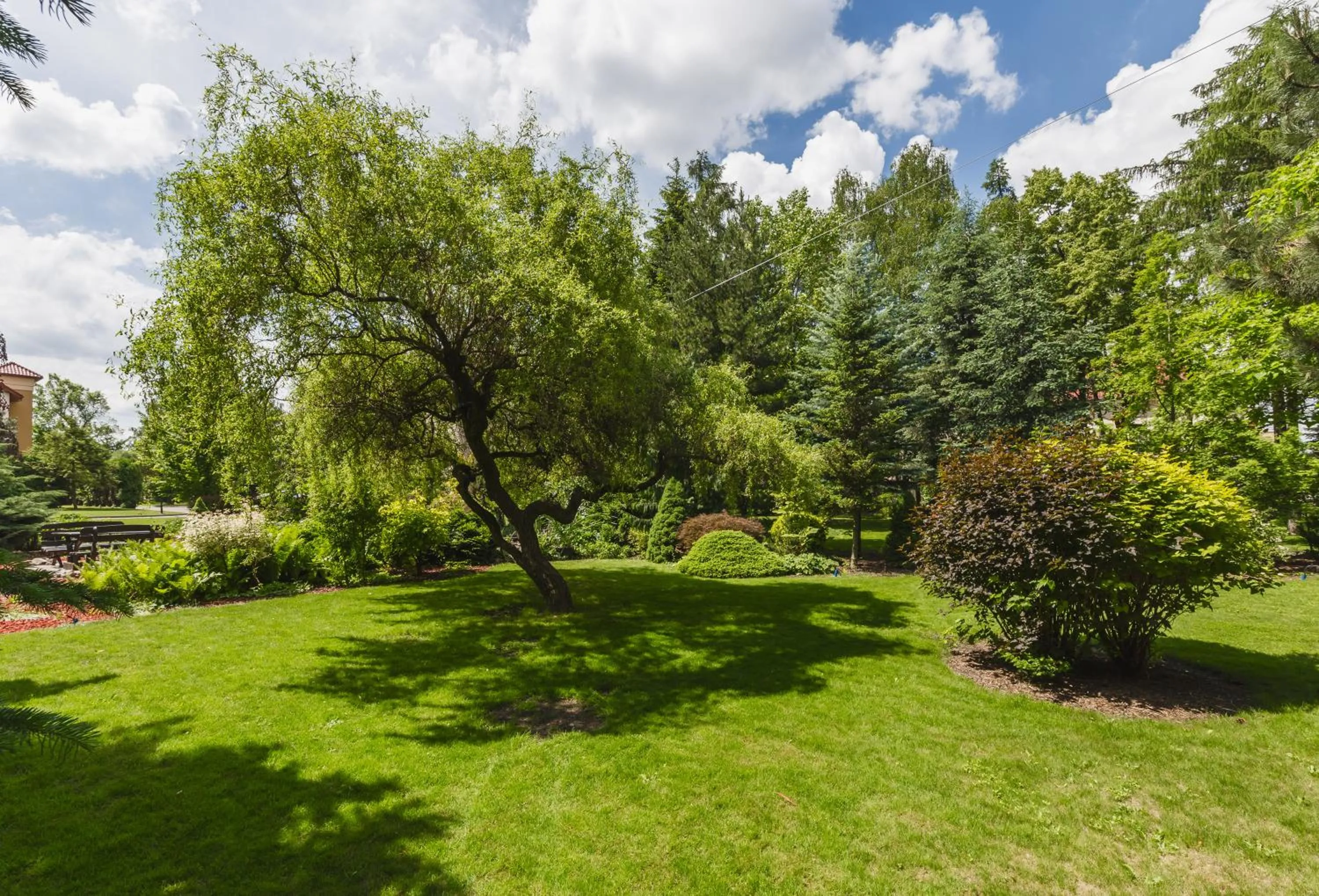 Garden in Hostel Biały Dom